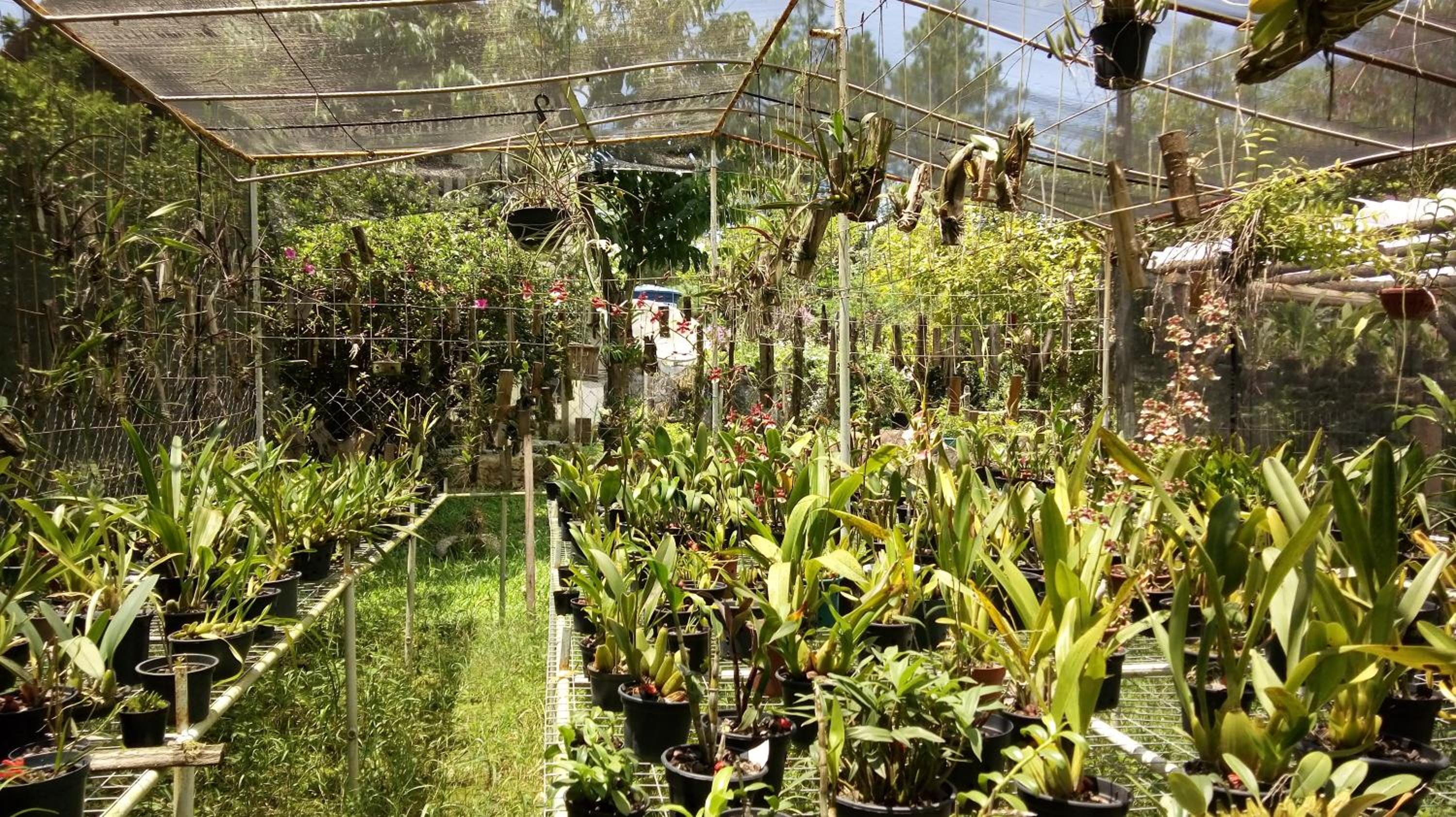 Pousada Vale das Orquídeas