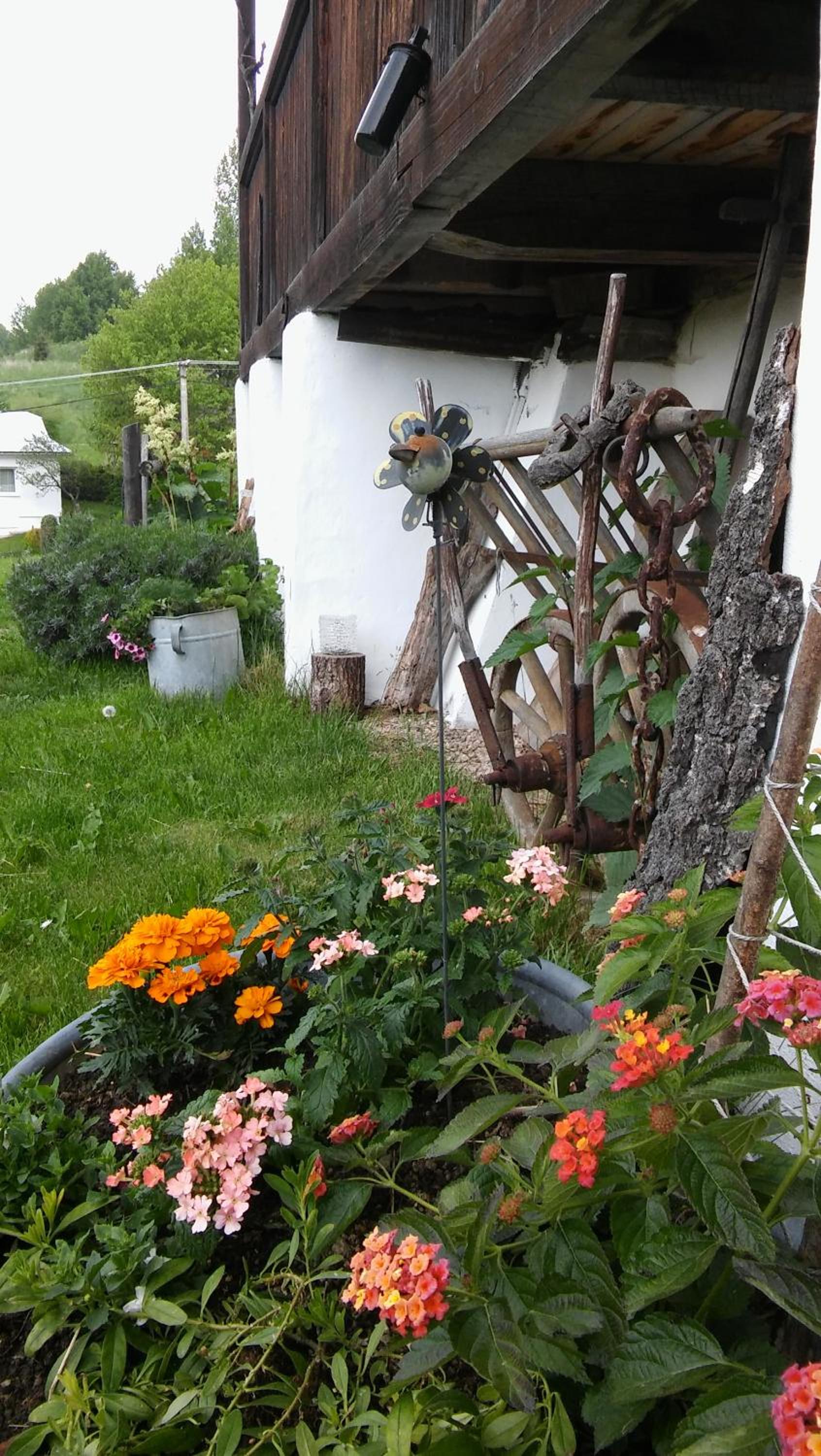 Photo 35