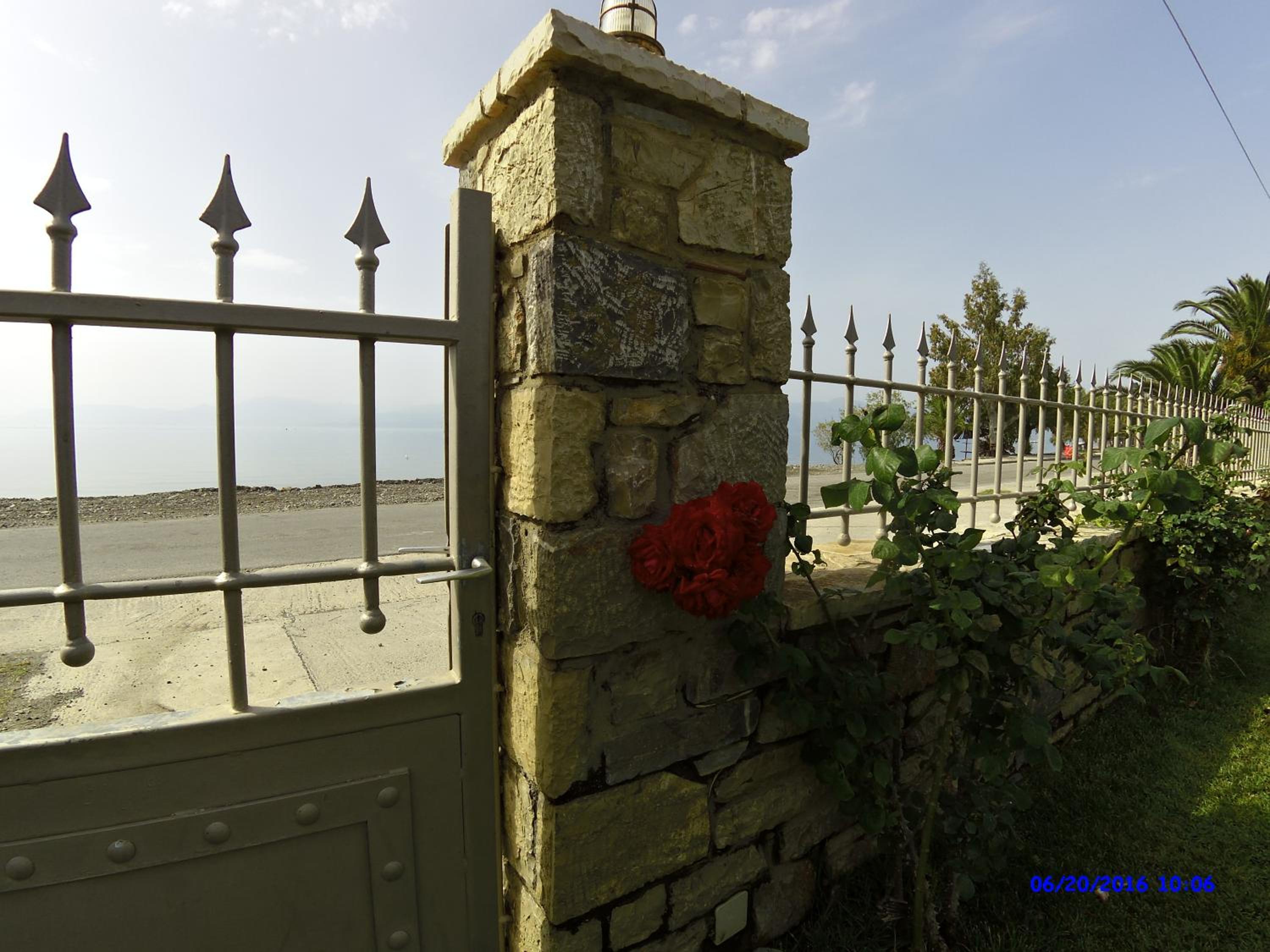 Photo 29
