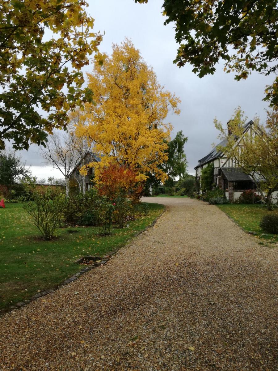 Photo 31