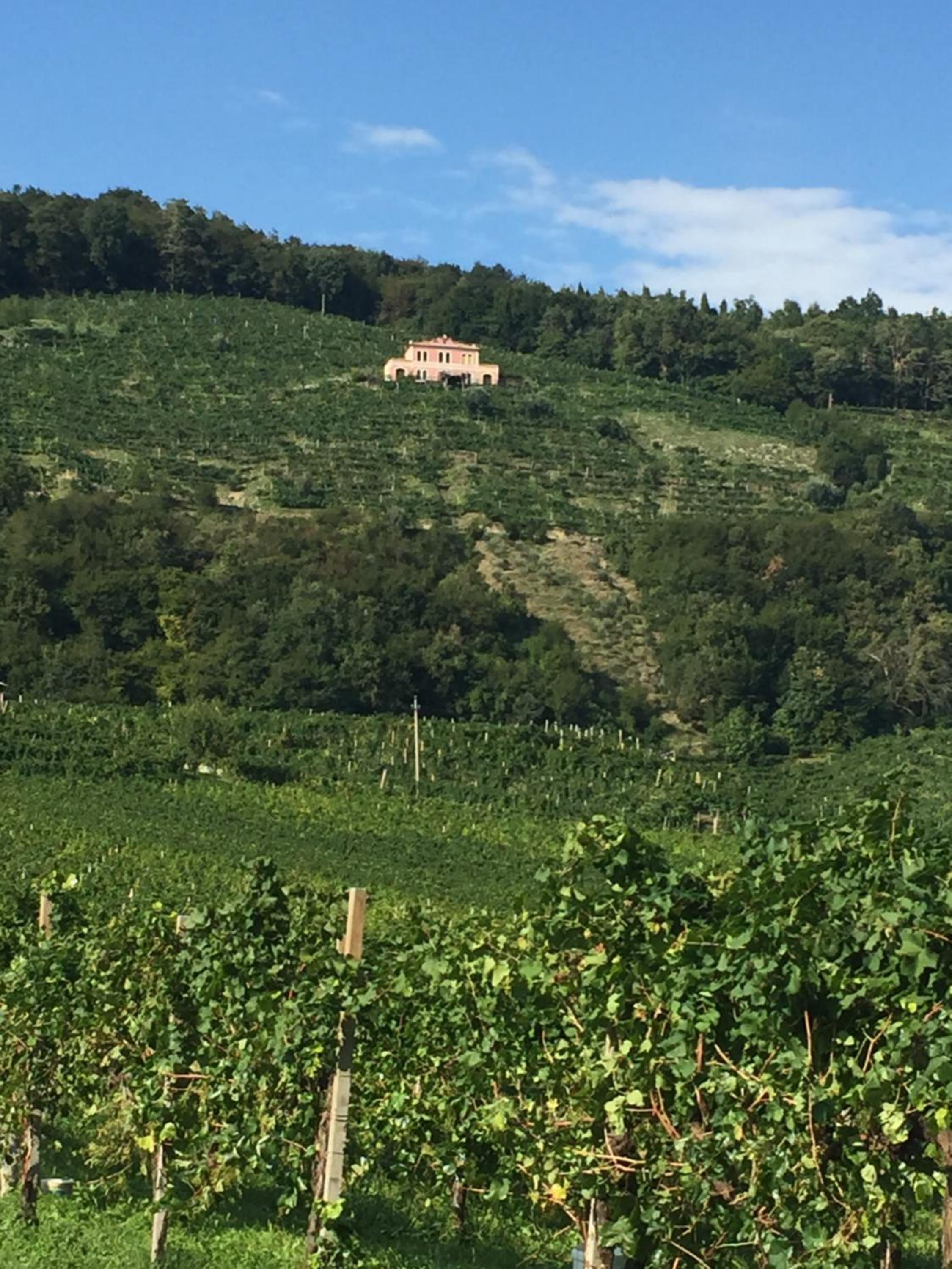 Agriturismo Villa Panigai