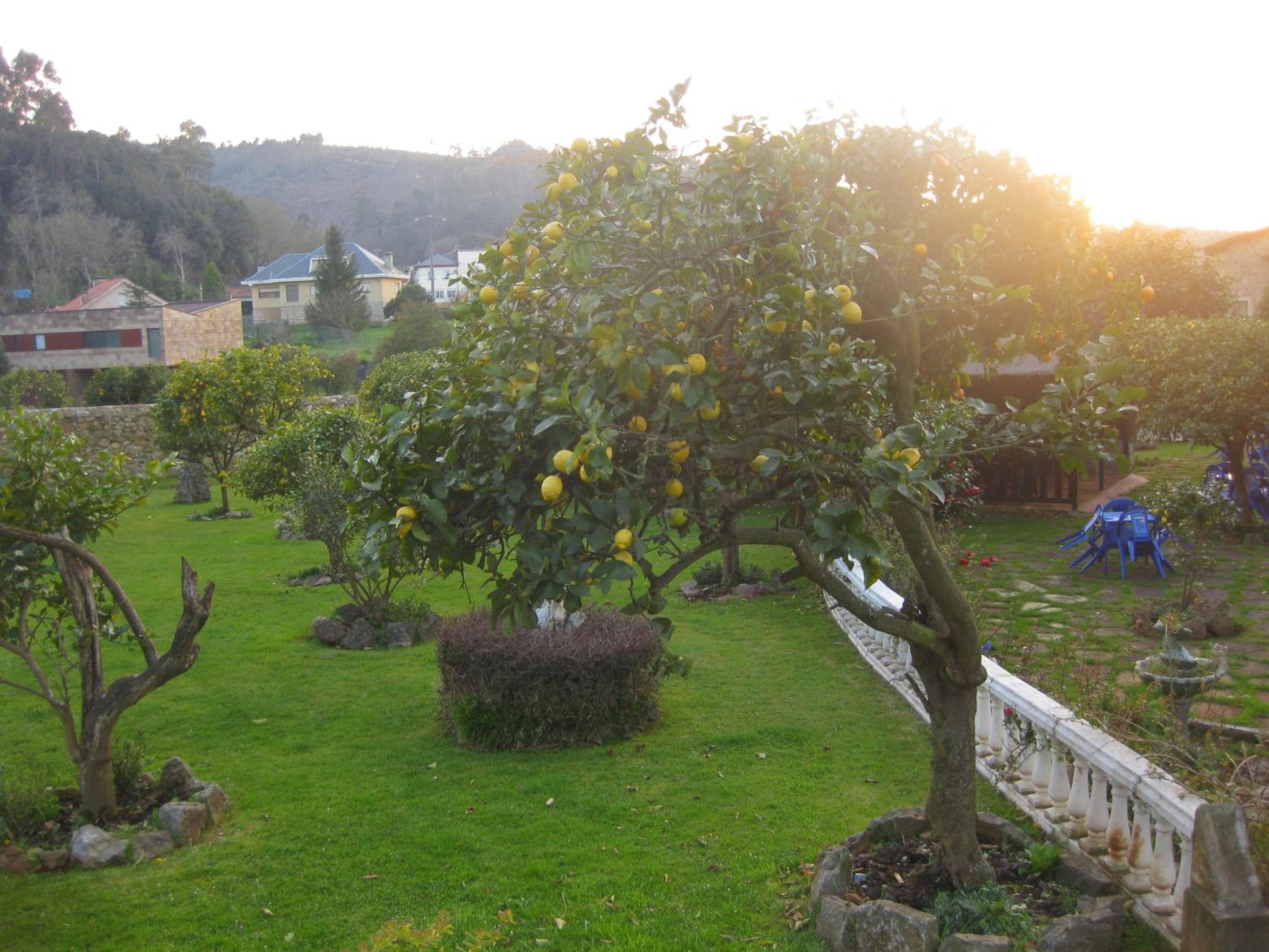 Apartamentos La Ceña