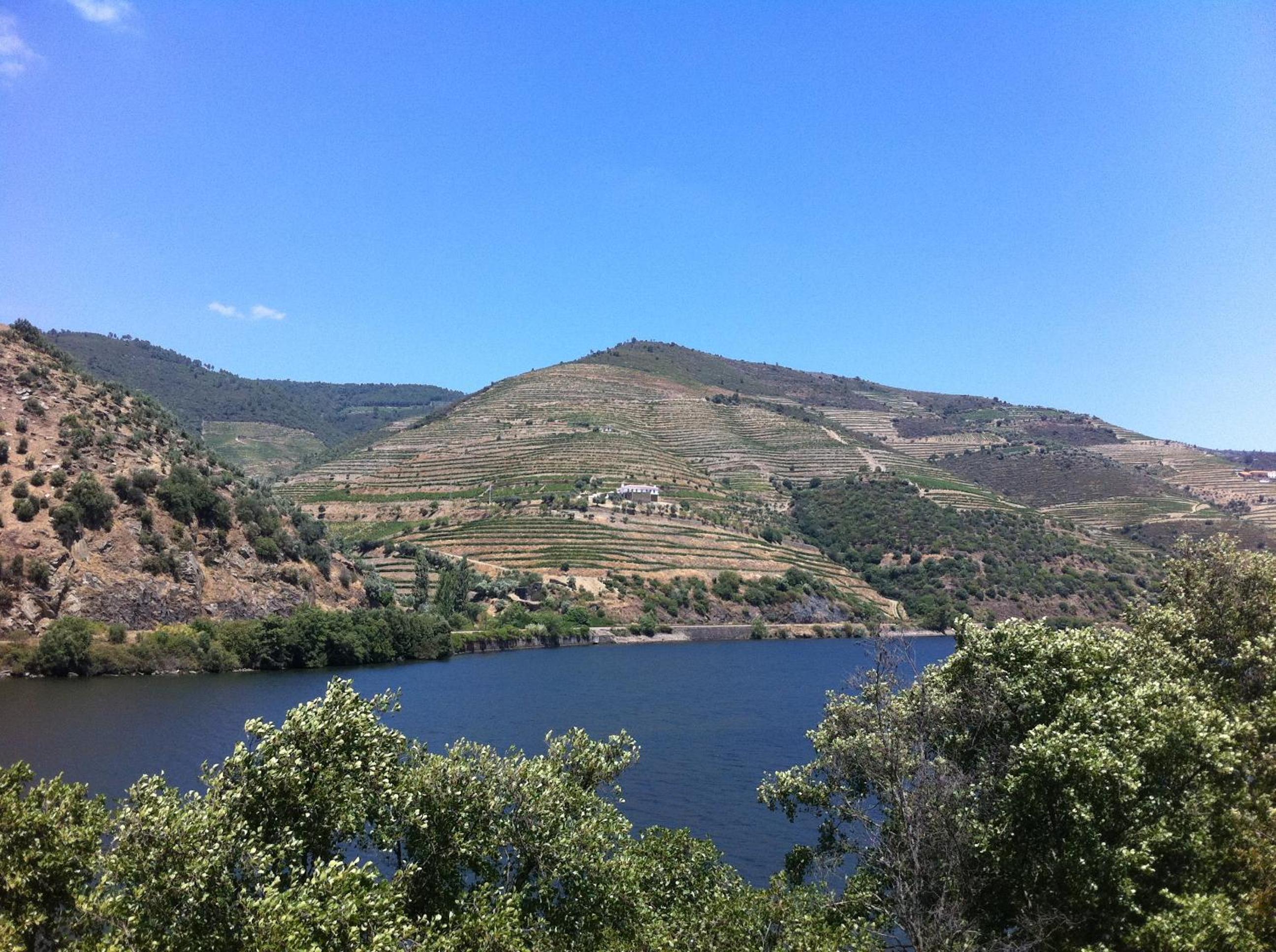 Quinta Da Marka view 4