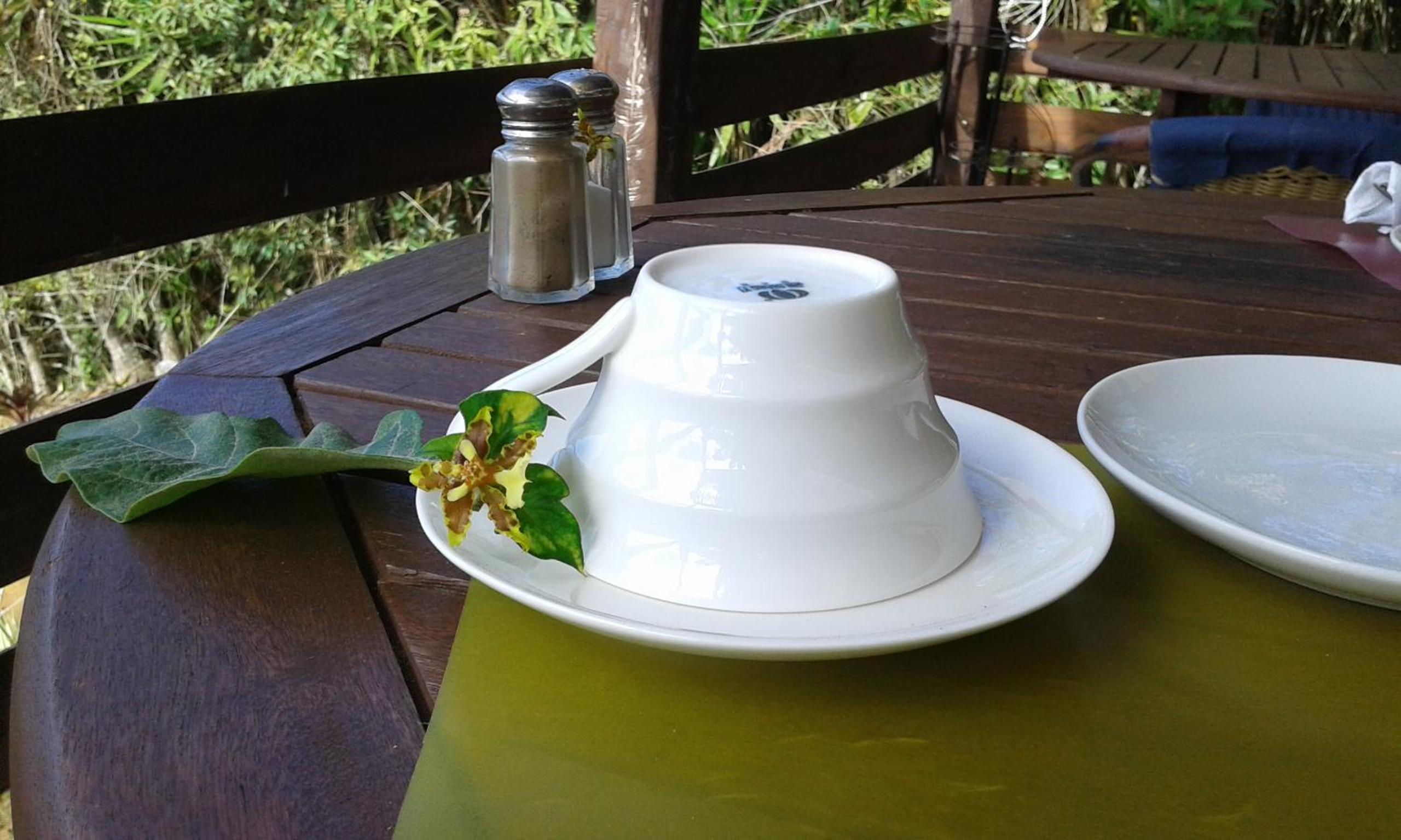 Rinconcito Verde