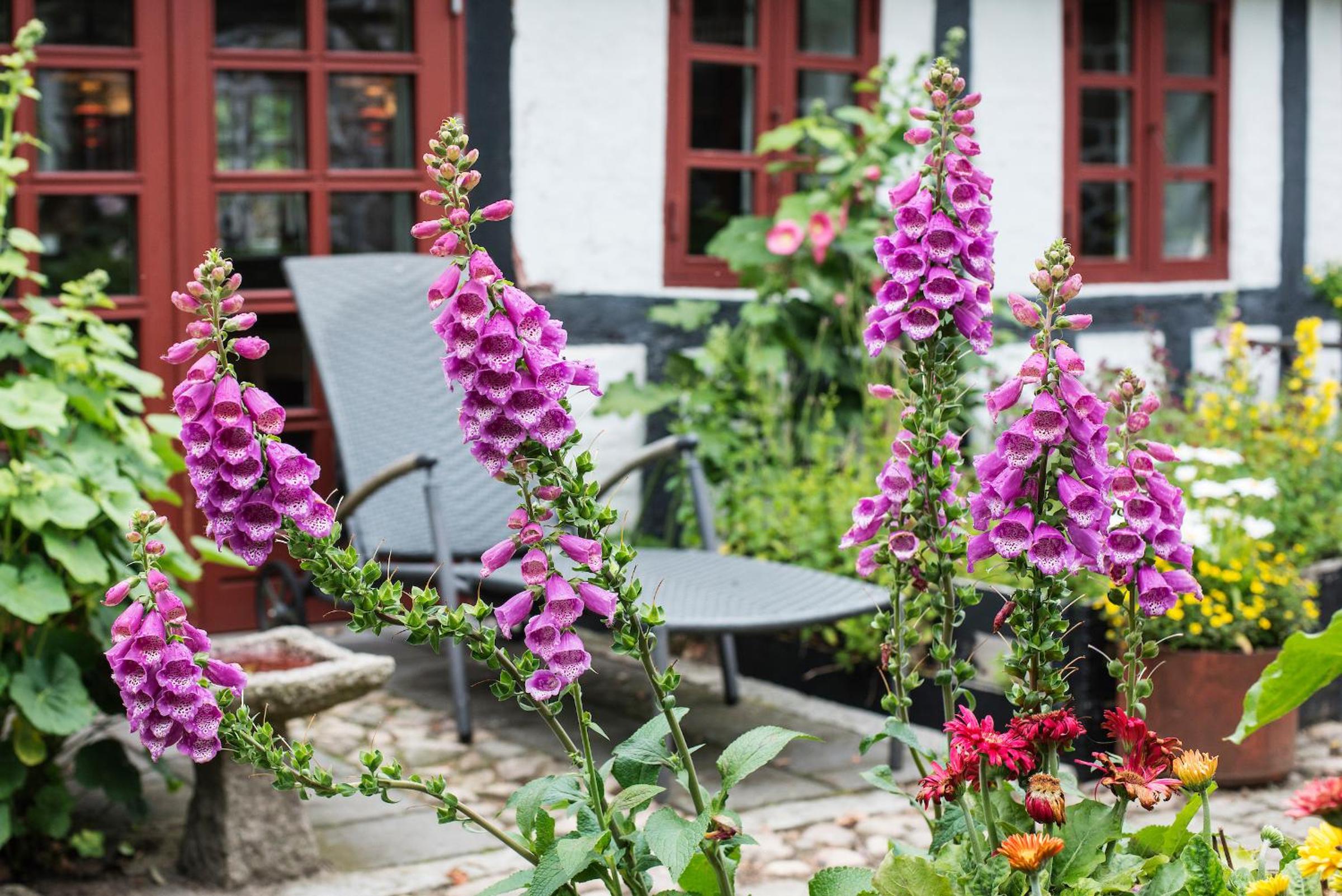 Grundfør bed and breakfast view 3