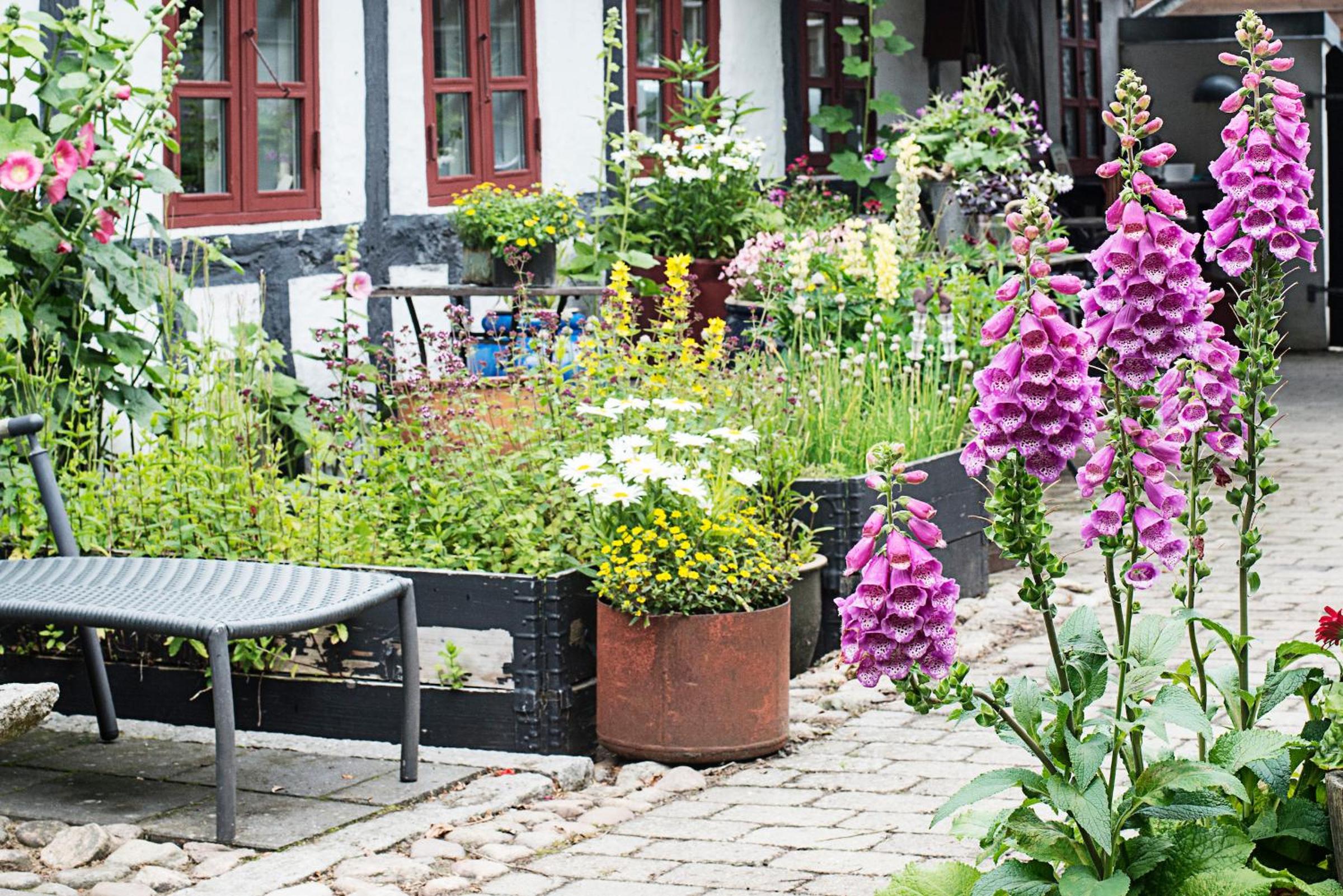 Grundfør bed and breakfast view 2