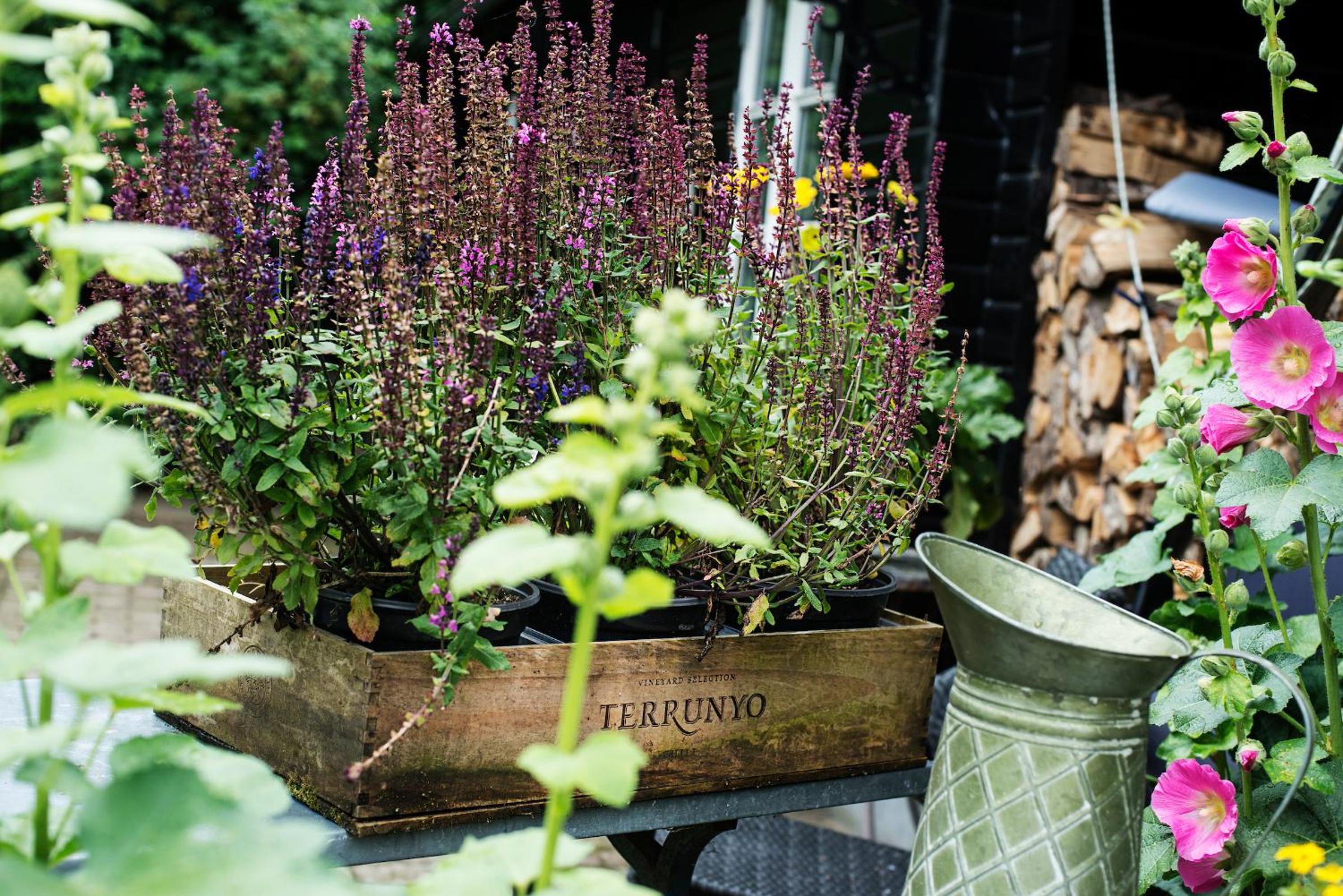 Grundfør bed and breakfast - Image 5