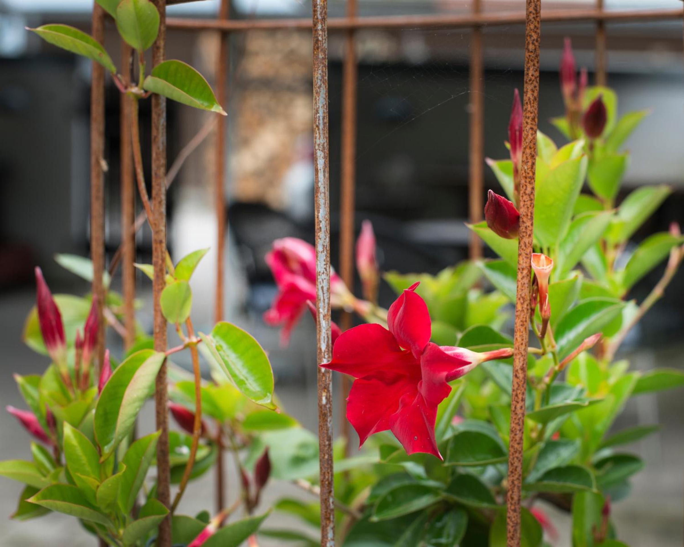 Grundfør bed and breakfast - Image 4