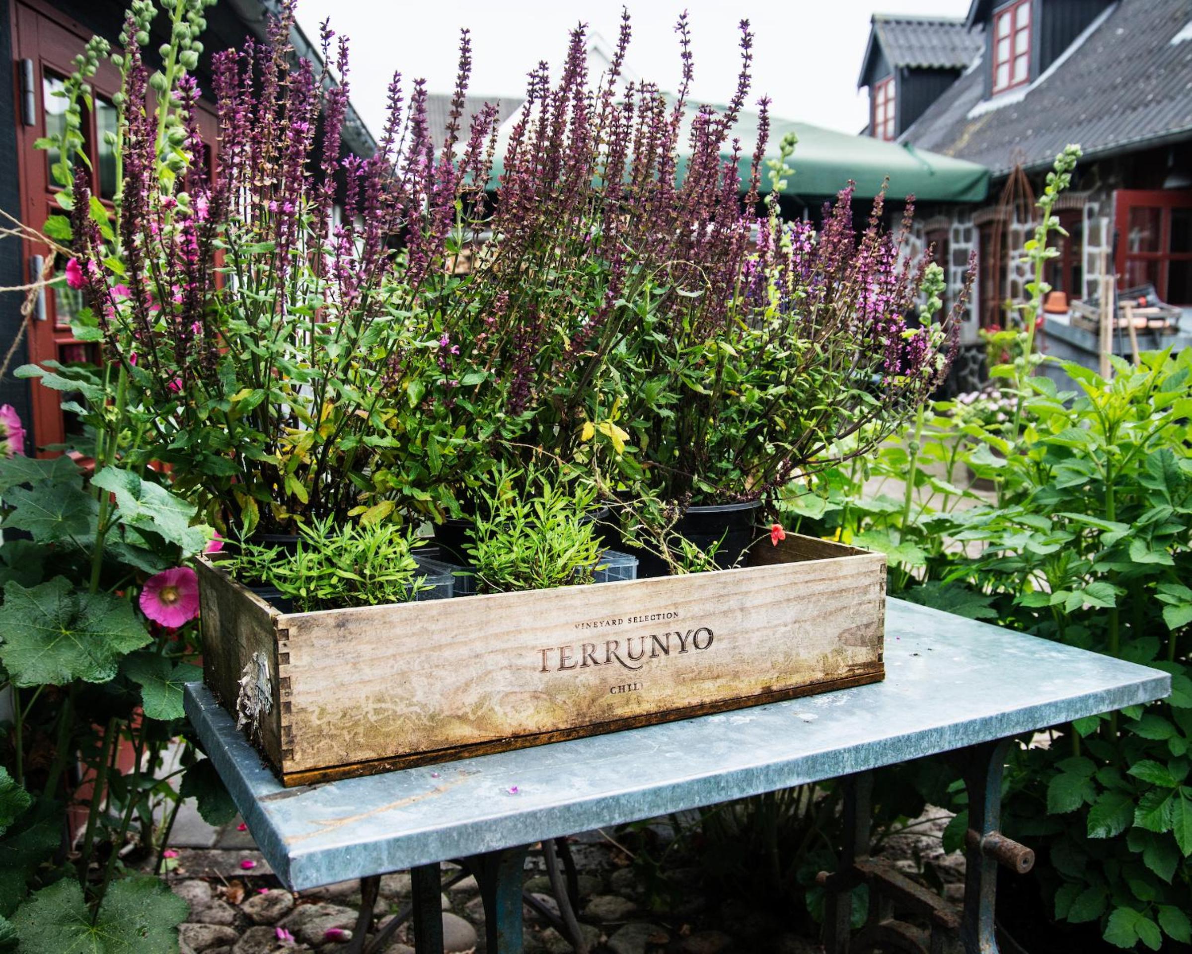 Grundfør bed and breakfast - Image 3