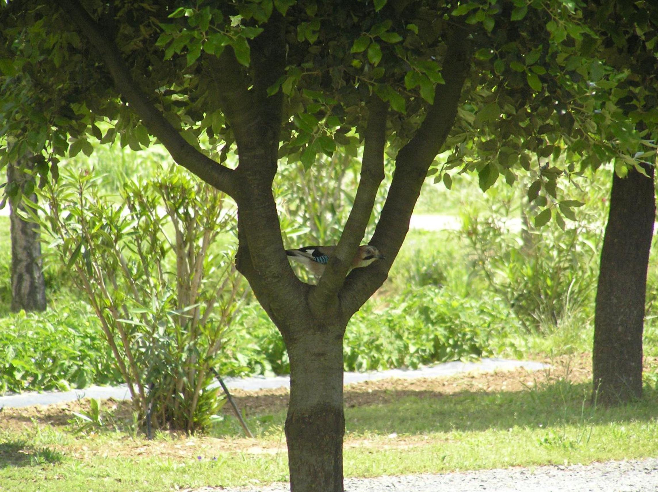 Agriturismo Bocci