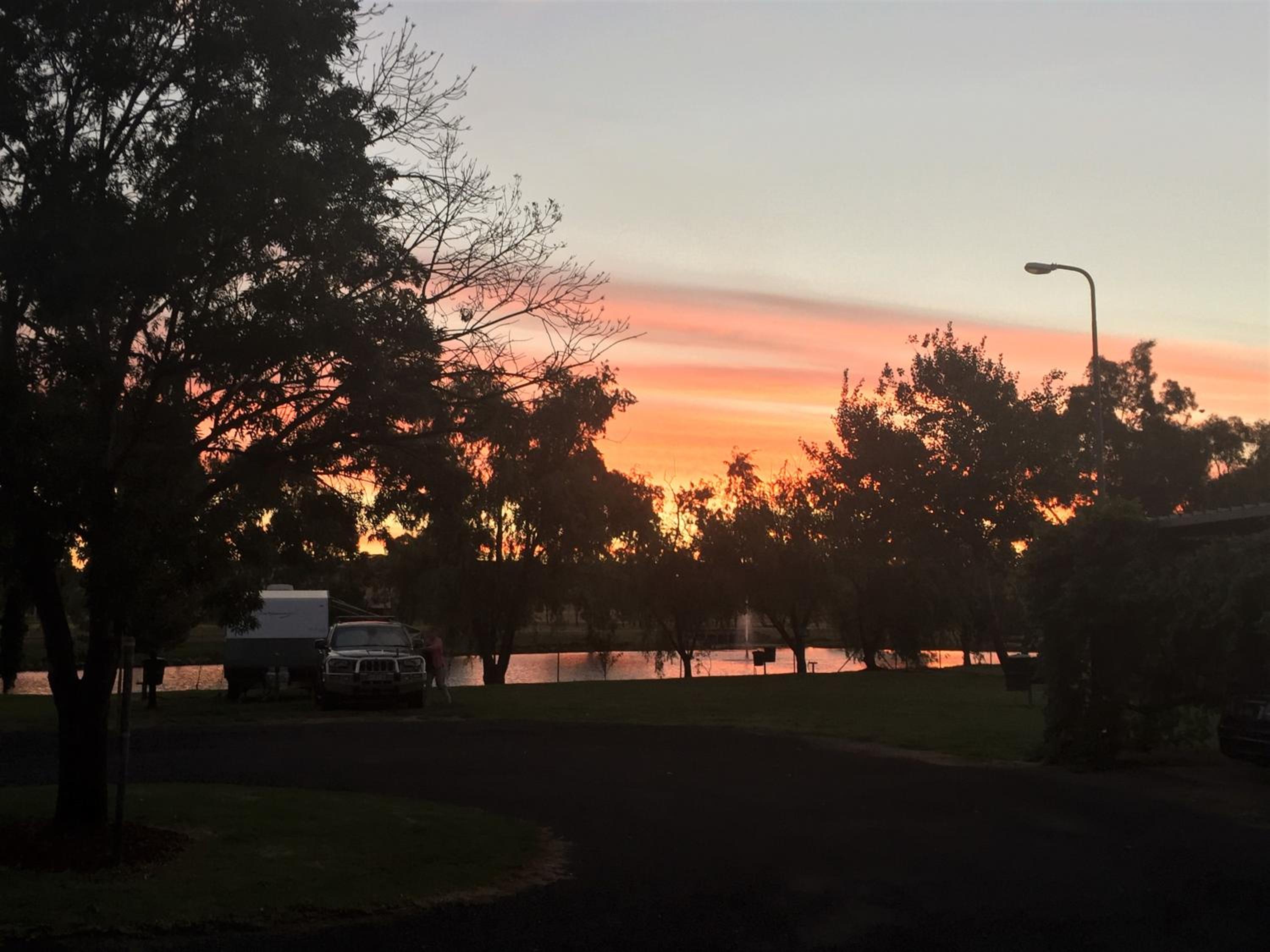 Junee Tourist Park