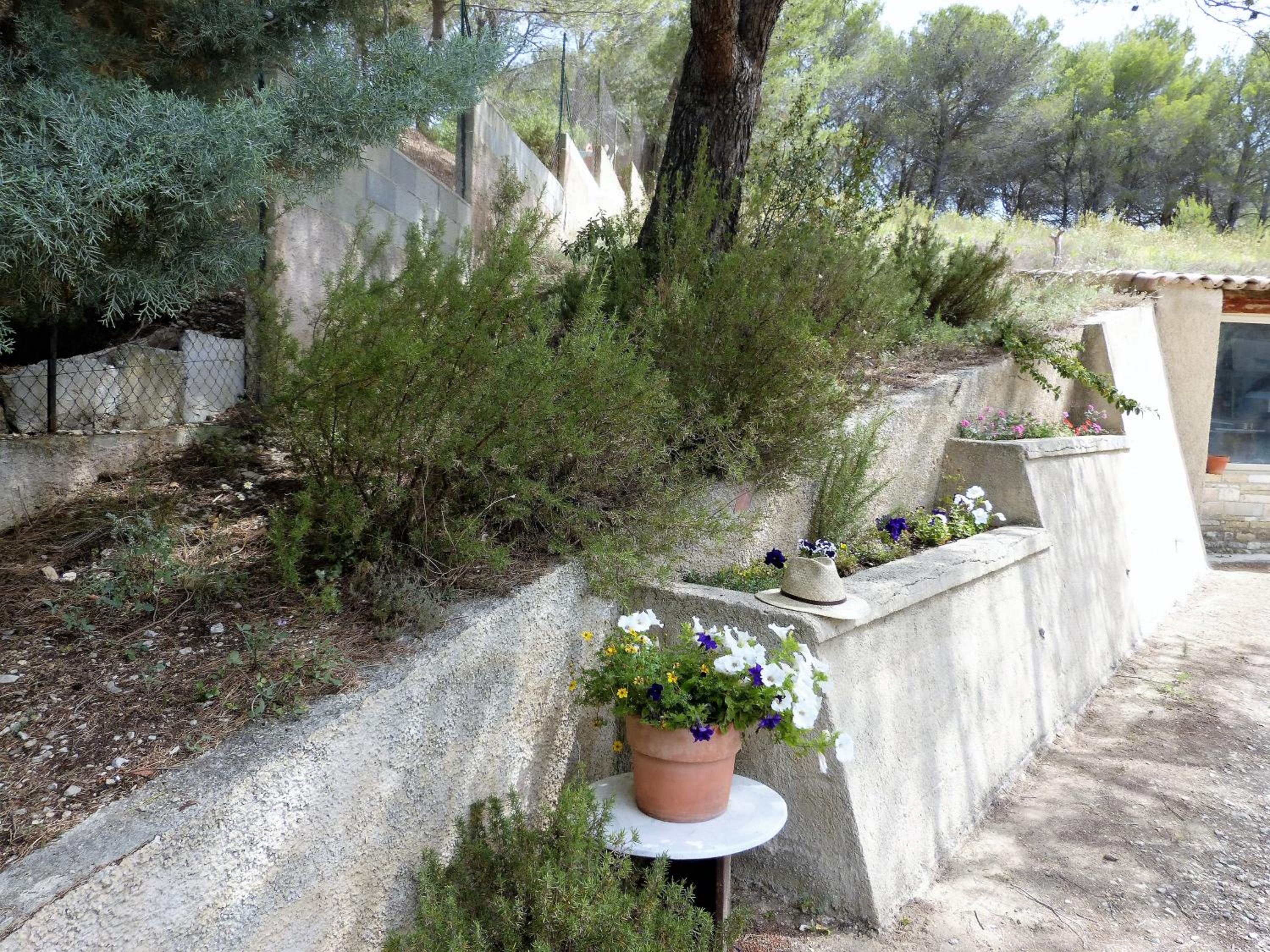 Photo 21