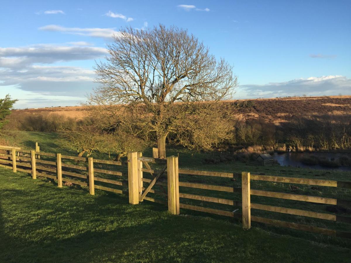 Folly Hall Farm