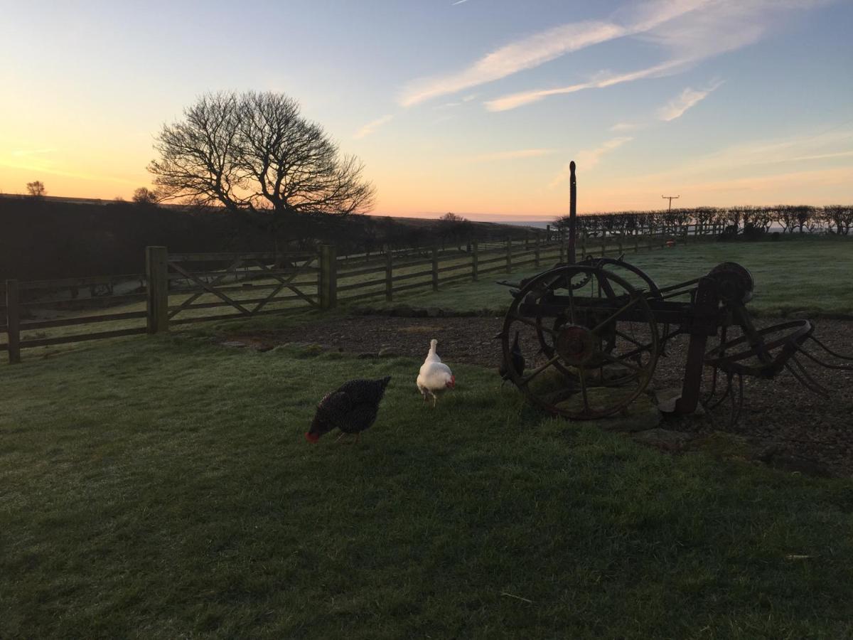 Folly Hall Farm