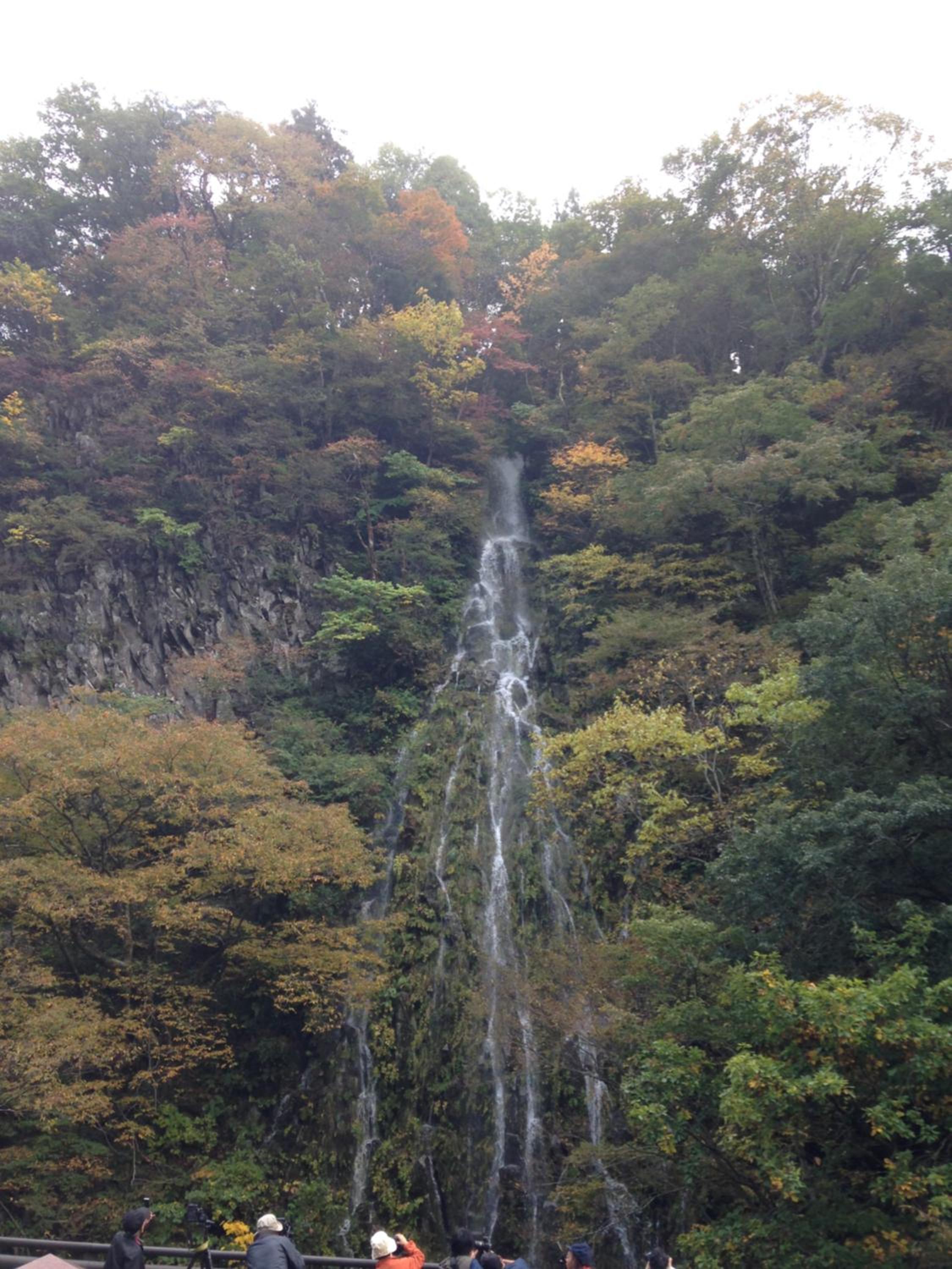 Fujiyoshi