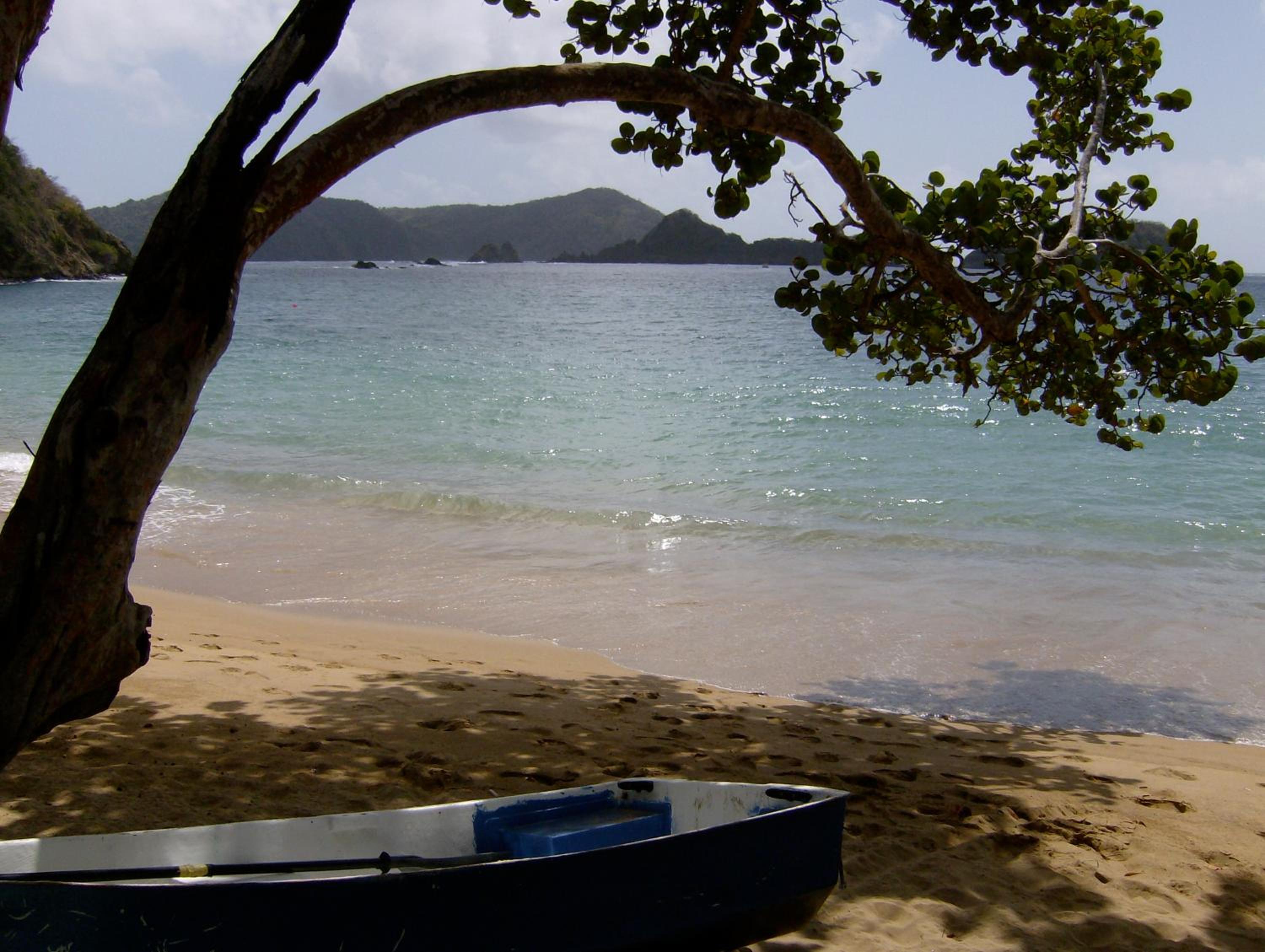 Photo 44