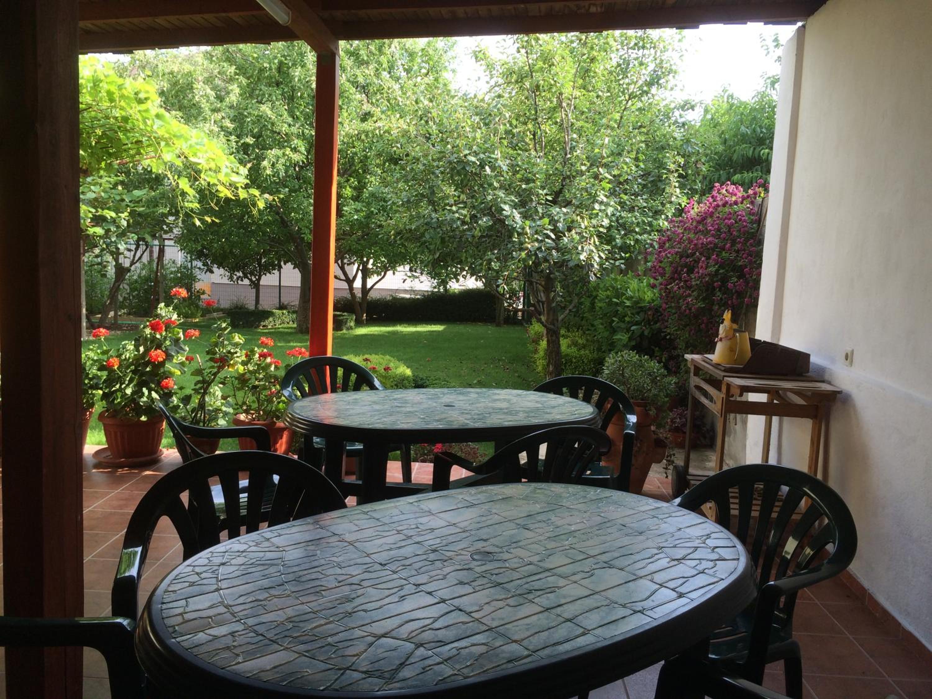 Guest House Kiwi