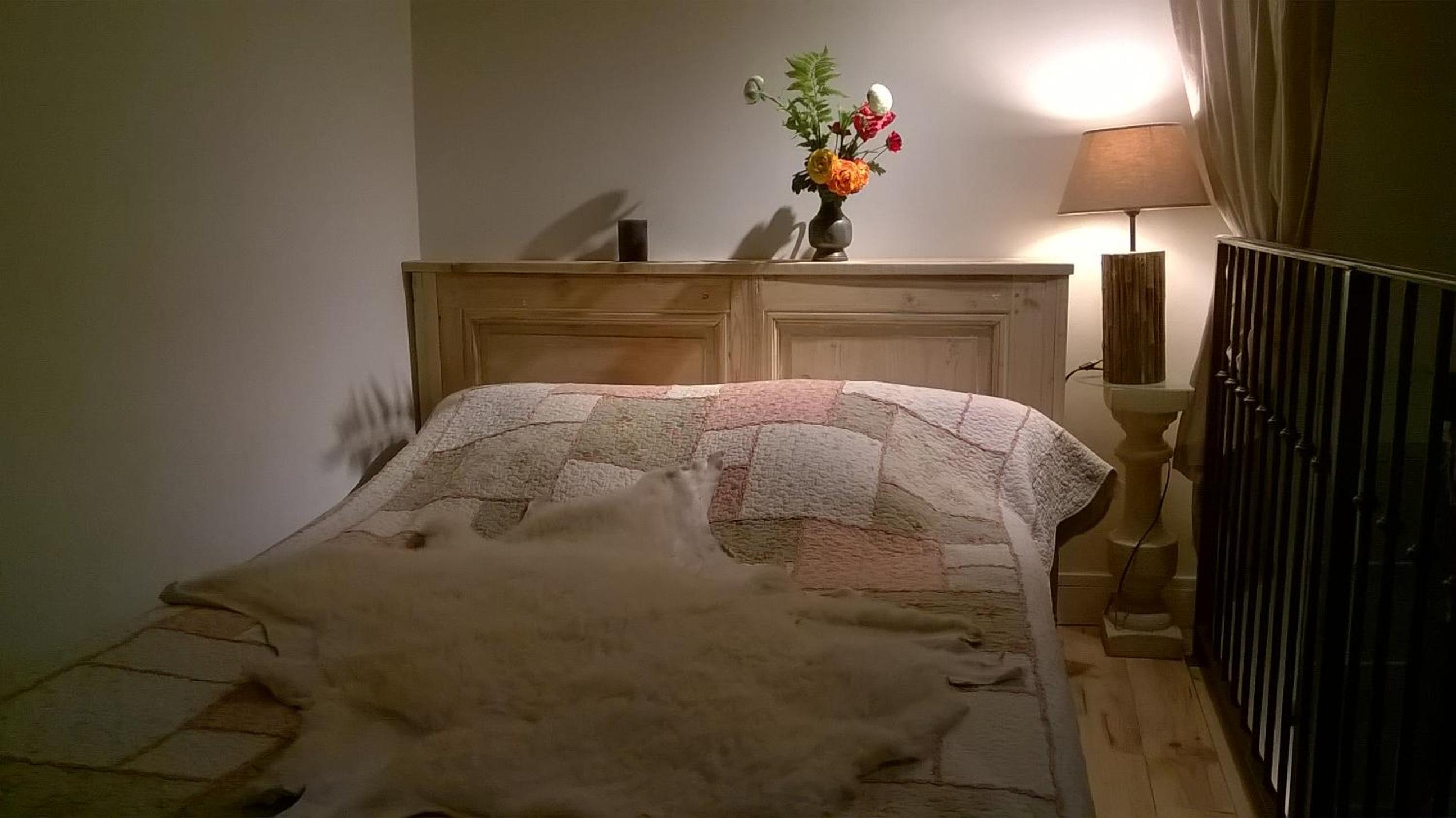 Photo 26