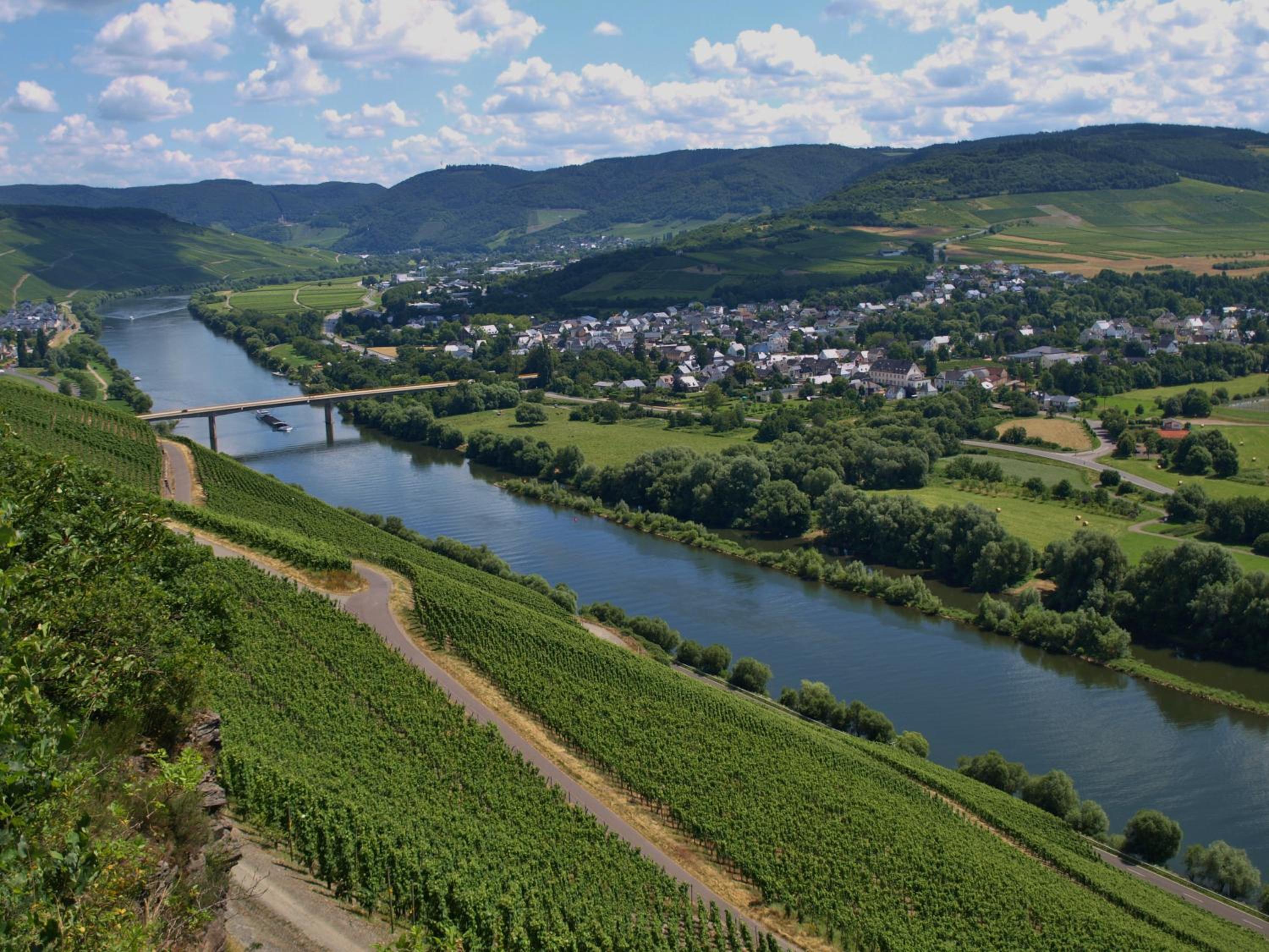 Ferienhaus N° 14