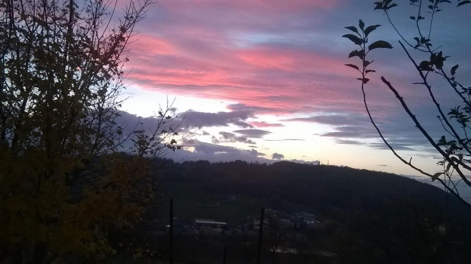 Photo 53