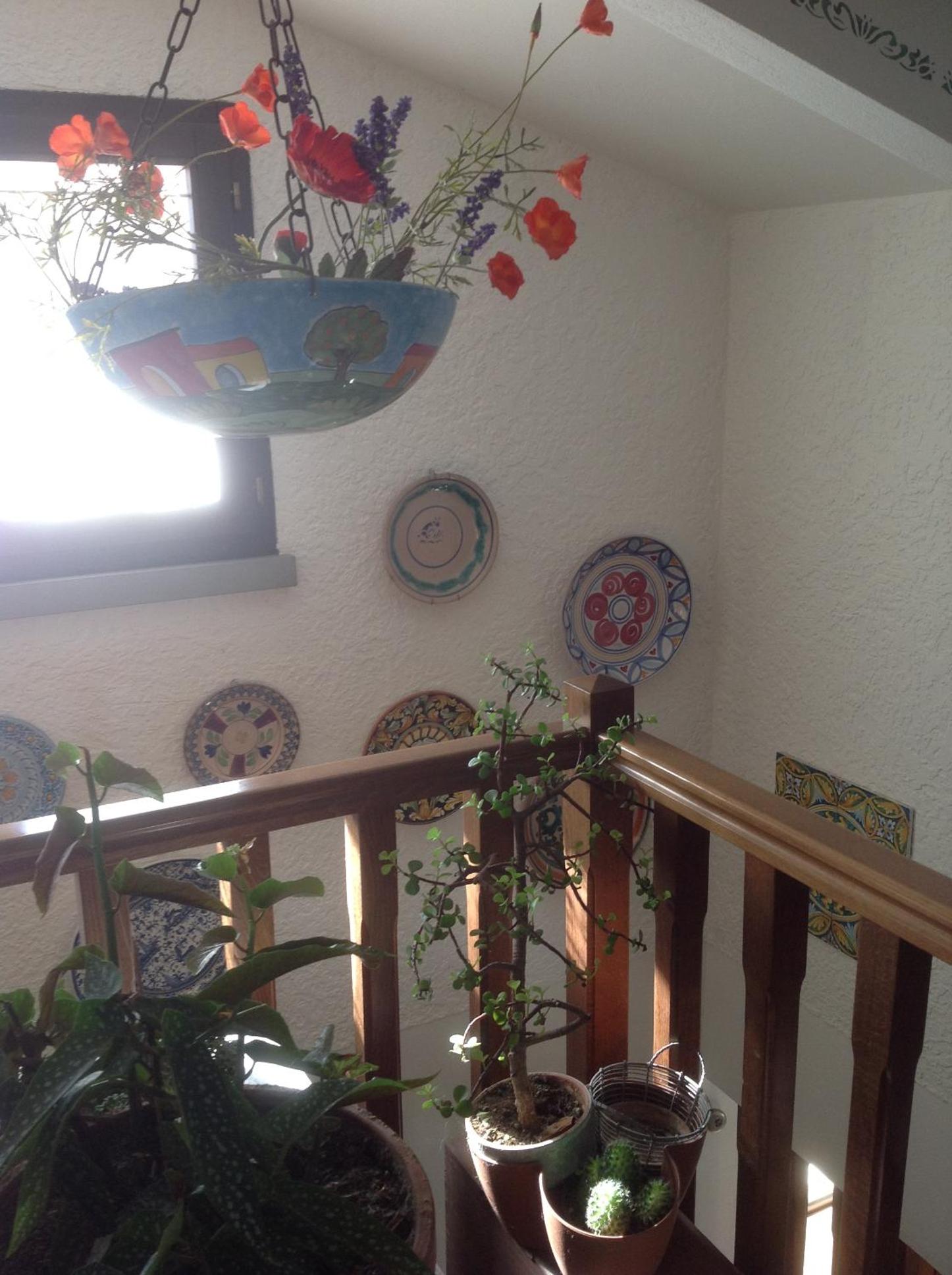 Photo 51