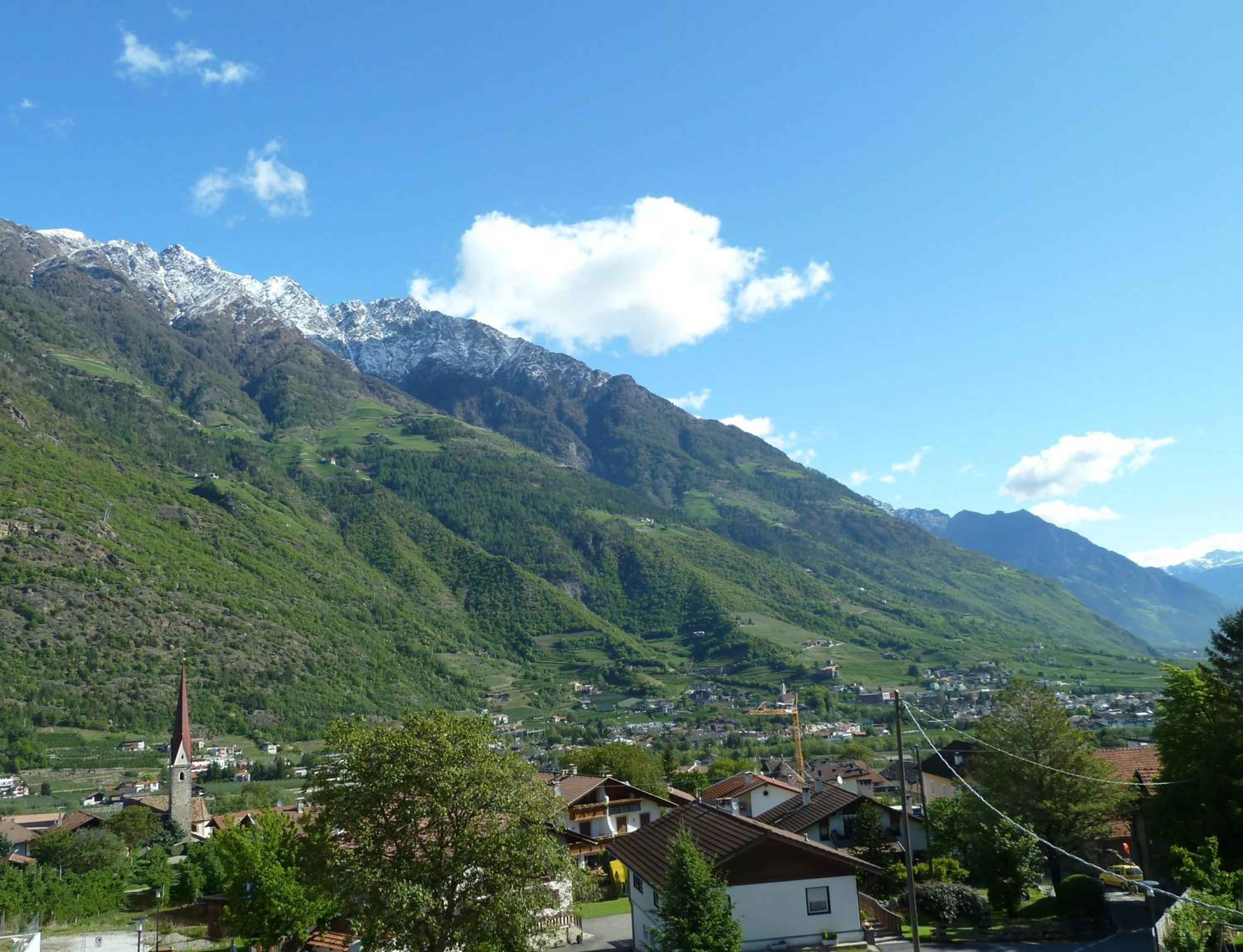 Photo 48