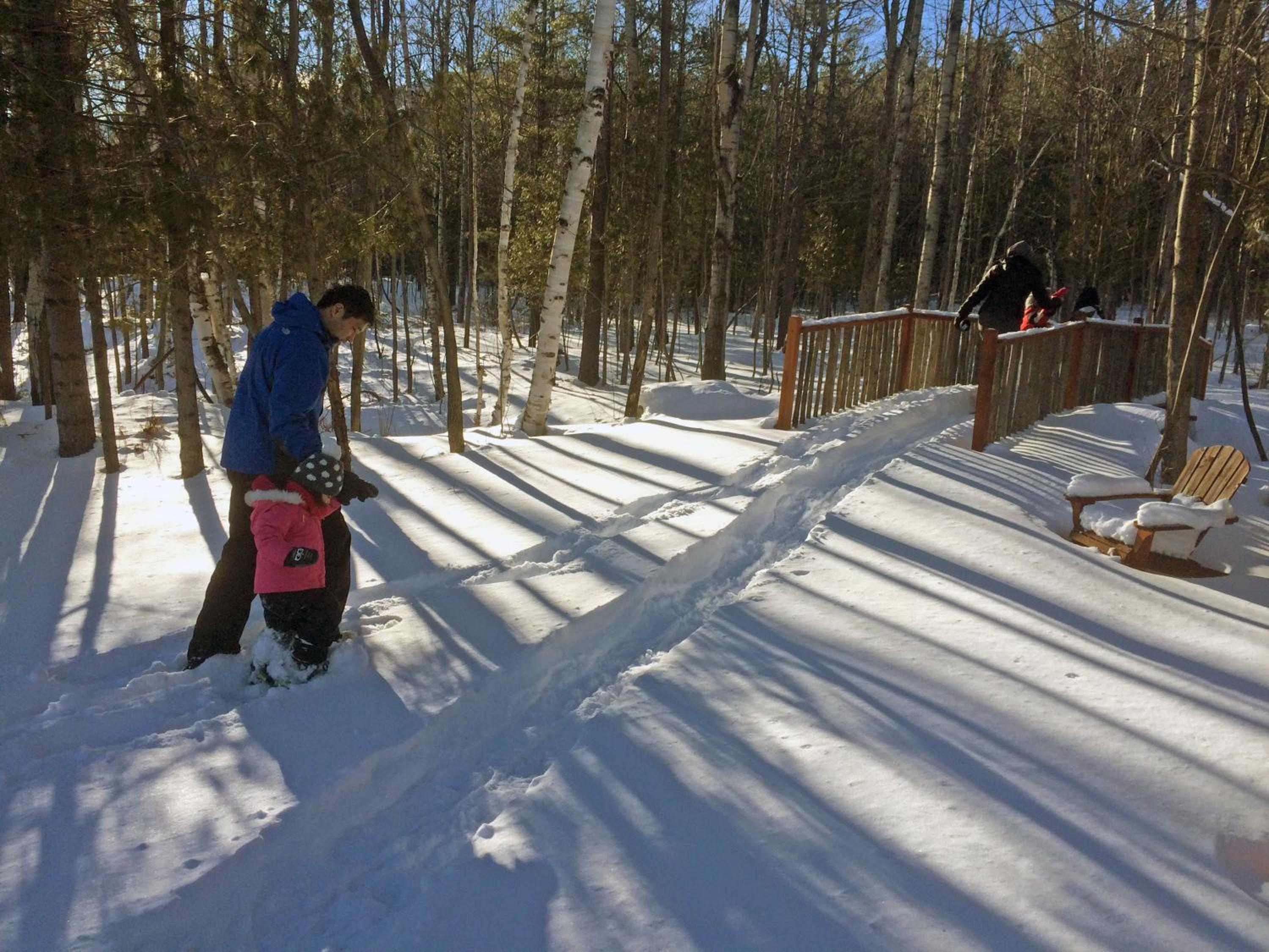 Adirondack Spruce Lodge