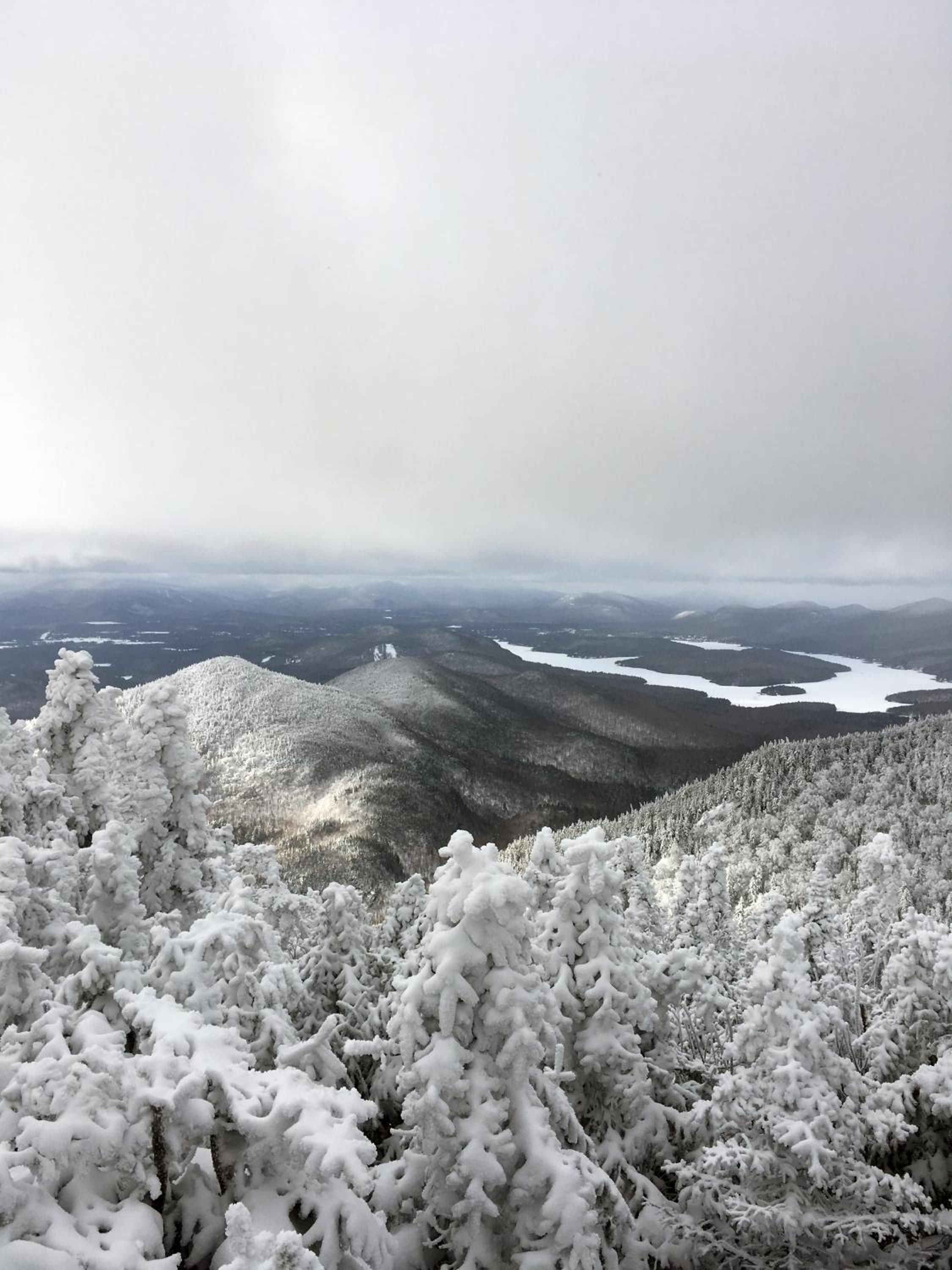 Adirondack Spruce Lodge