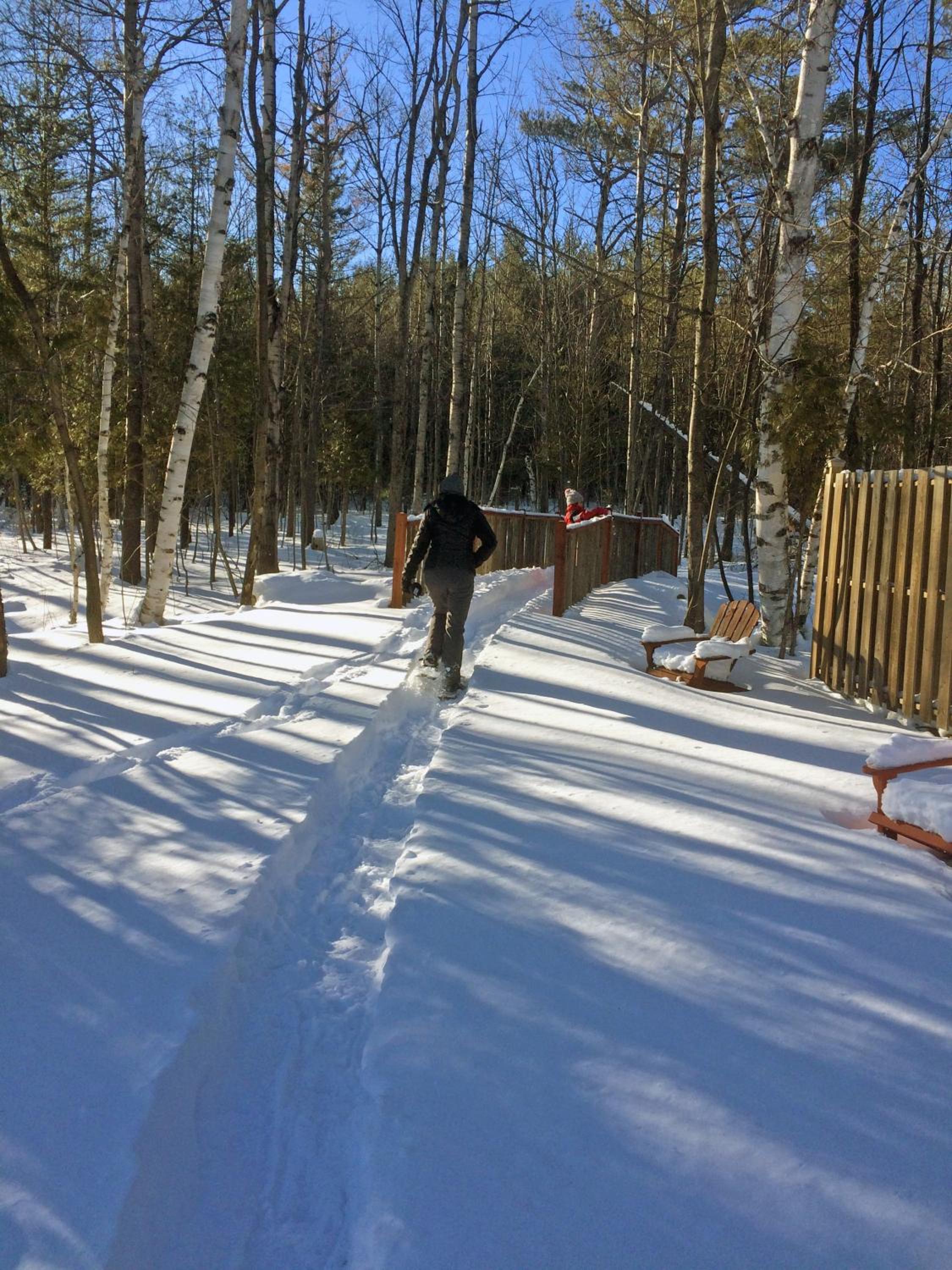Adirondack Spruce Lodge