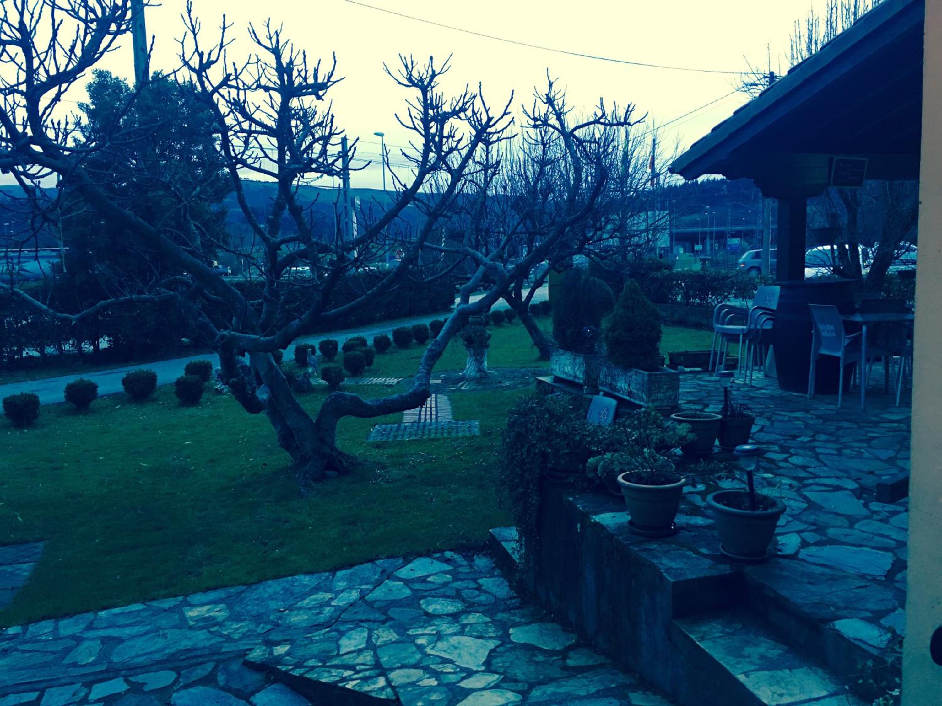 Photo 28
