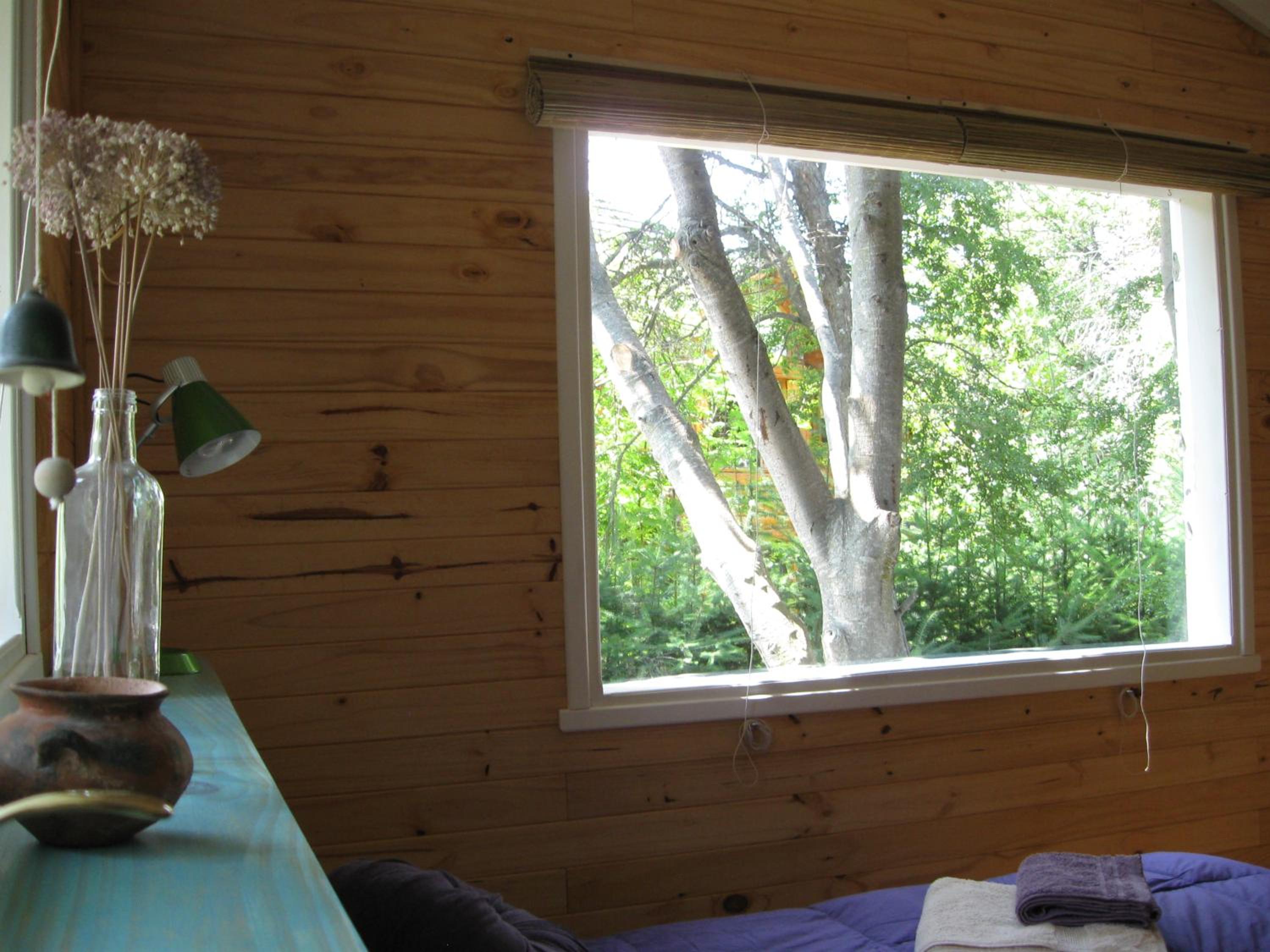Dodo House Bed & Breakfast