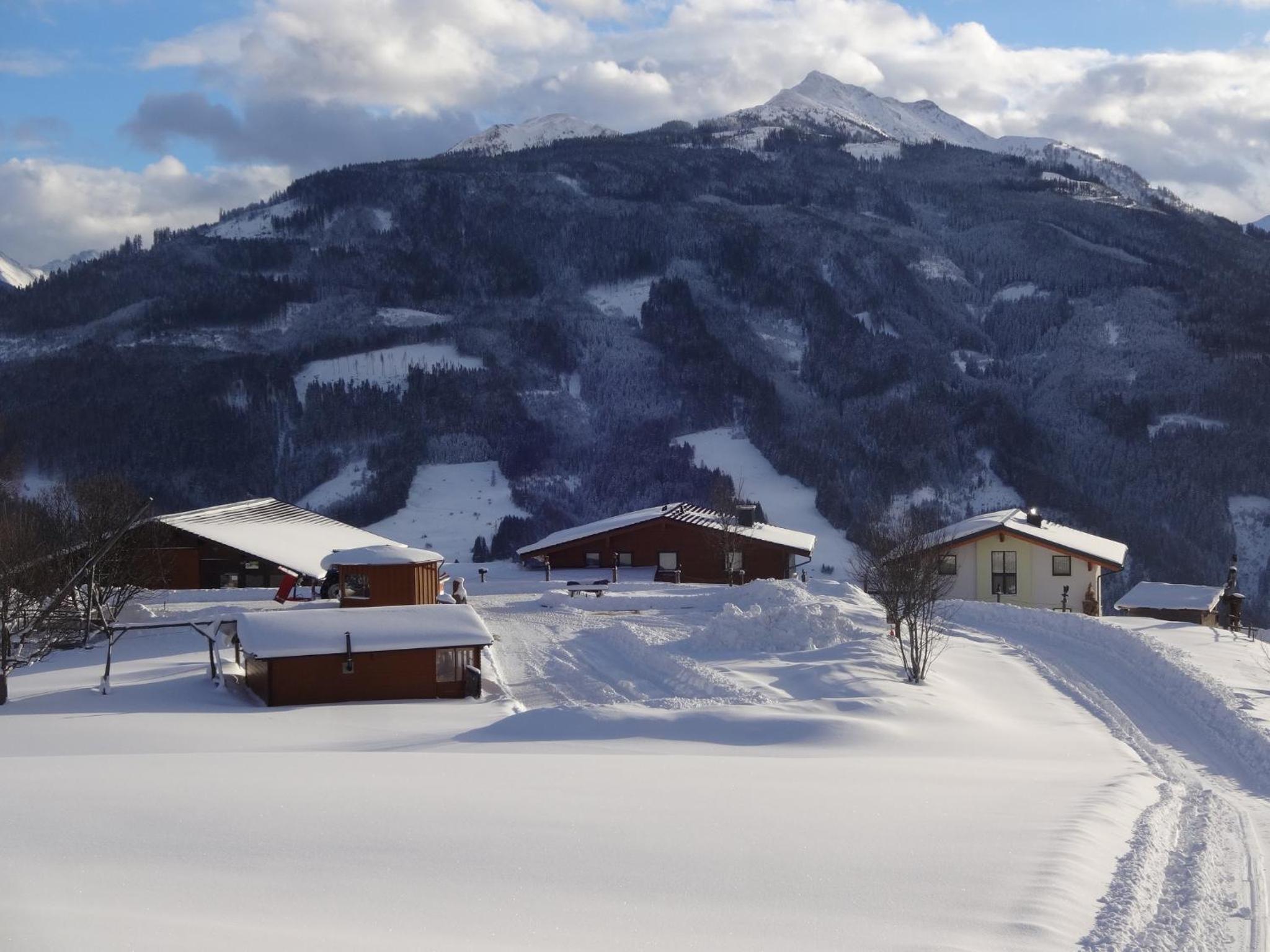 Bergbauernhof Familienparadies Oberhasenberghof view 5