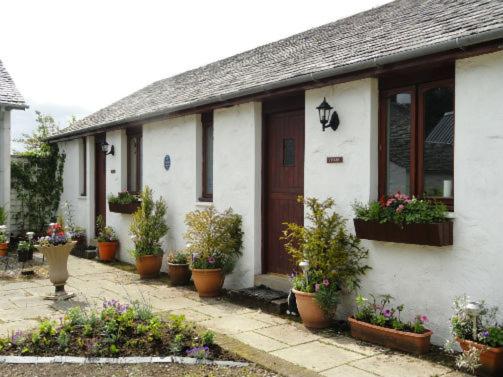 Shegarton Farm Cottages