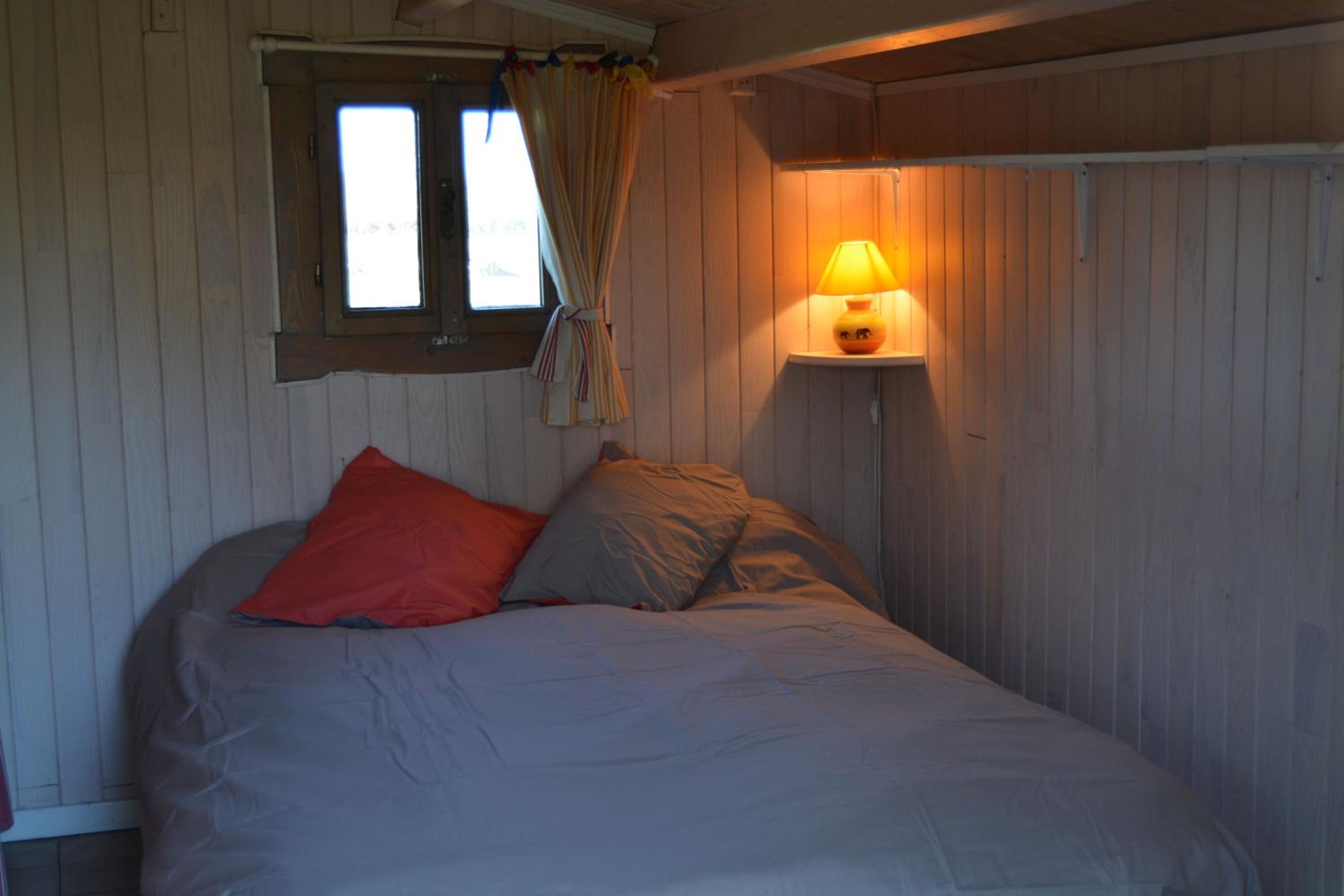 Gite foret landaise view 4