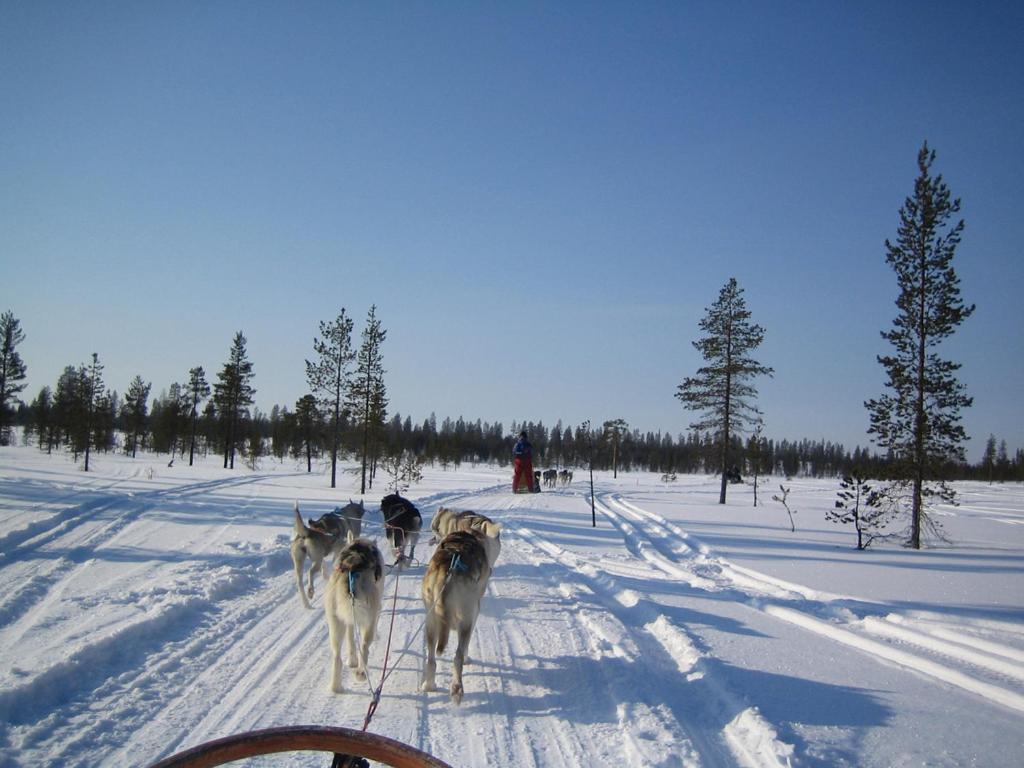 Photo 59