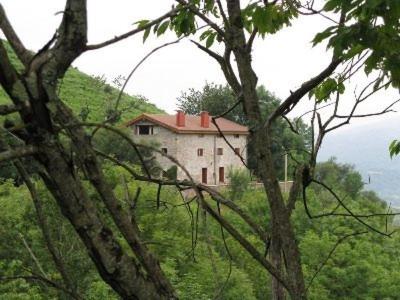 Photo 44