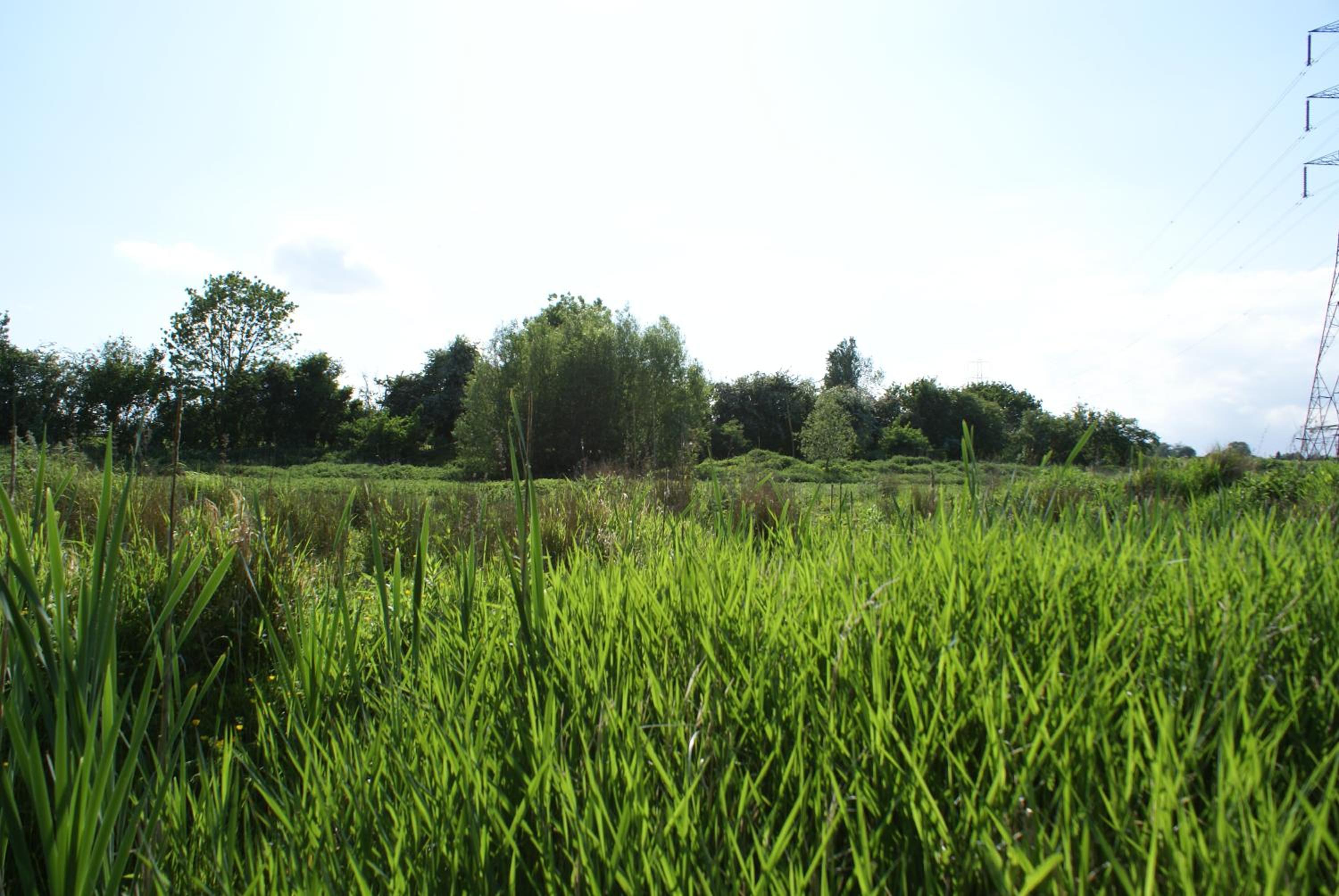 Watercress Barns