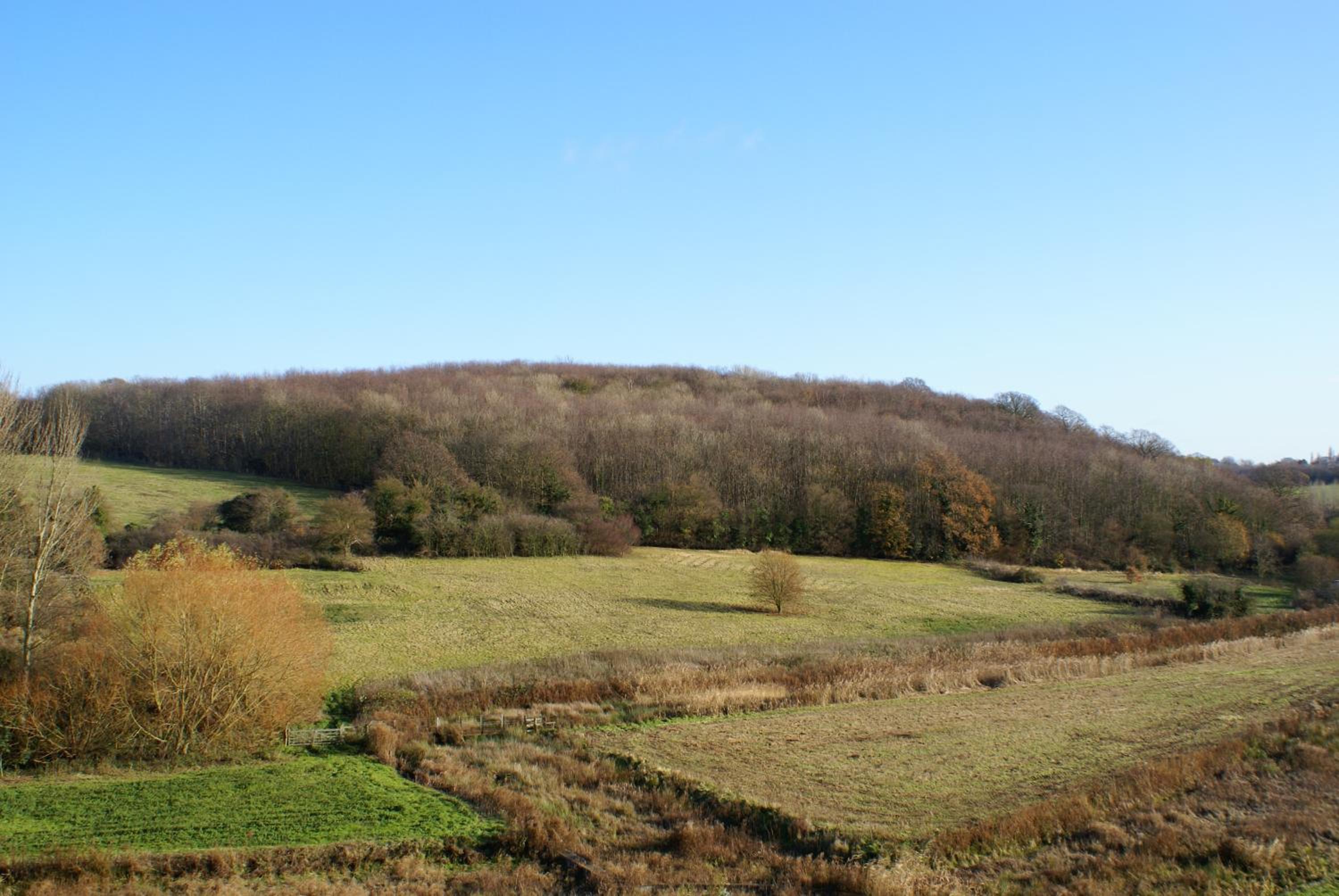 Watercress Barns