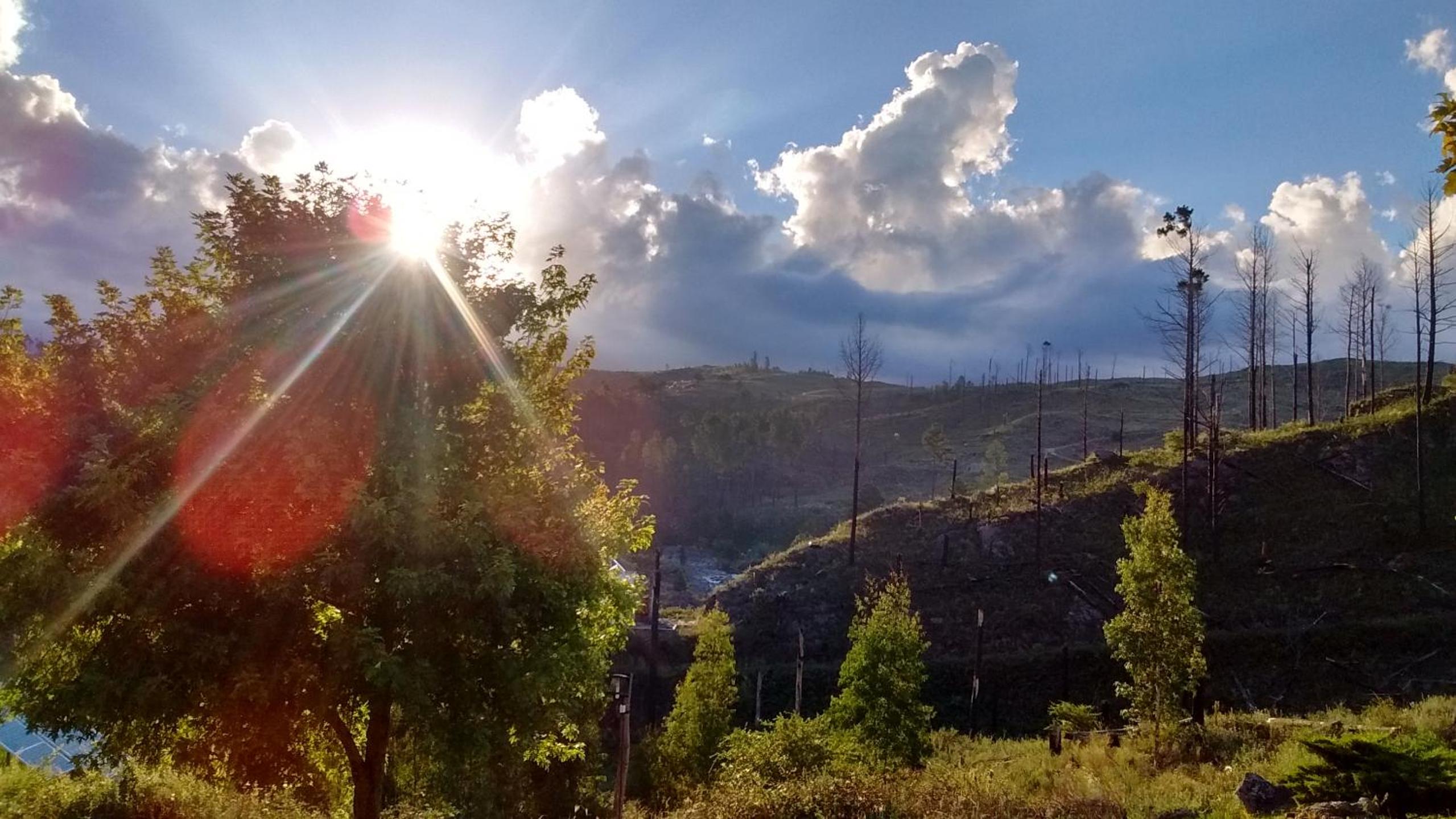 Serranias Del Tabaquillo