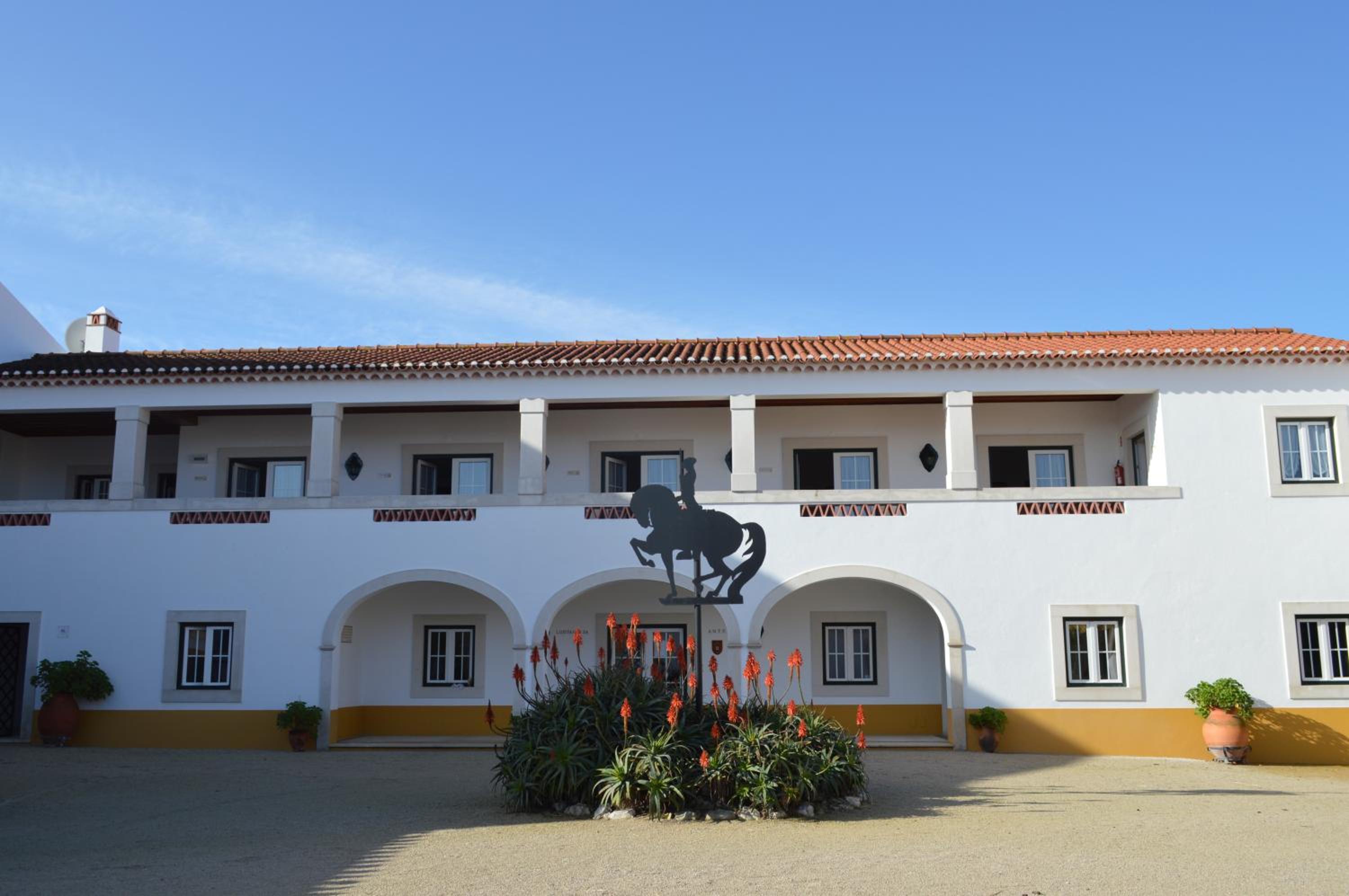 Lusitanus view 3