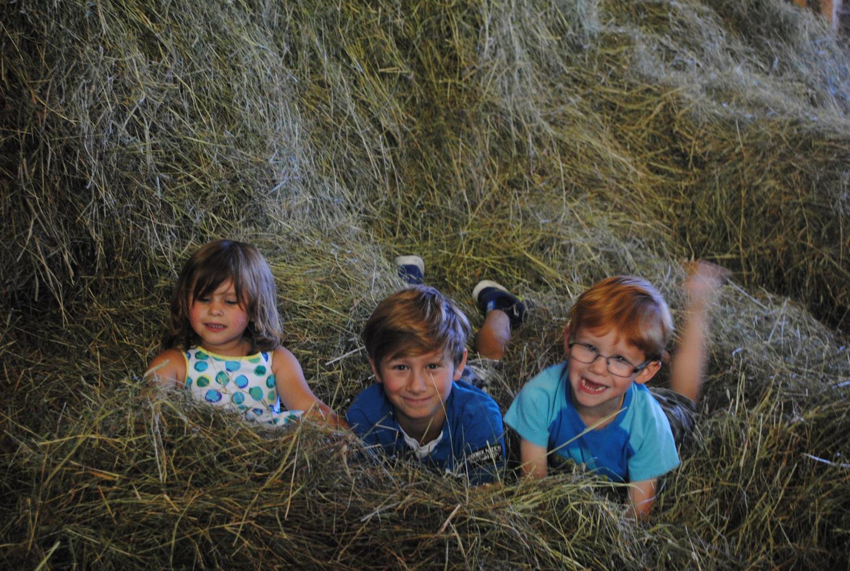 Familien-Bauernhof Neumoar