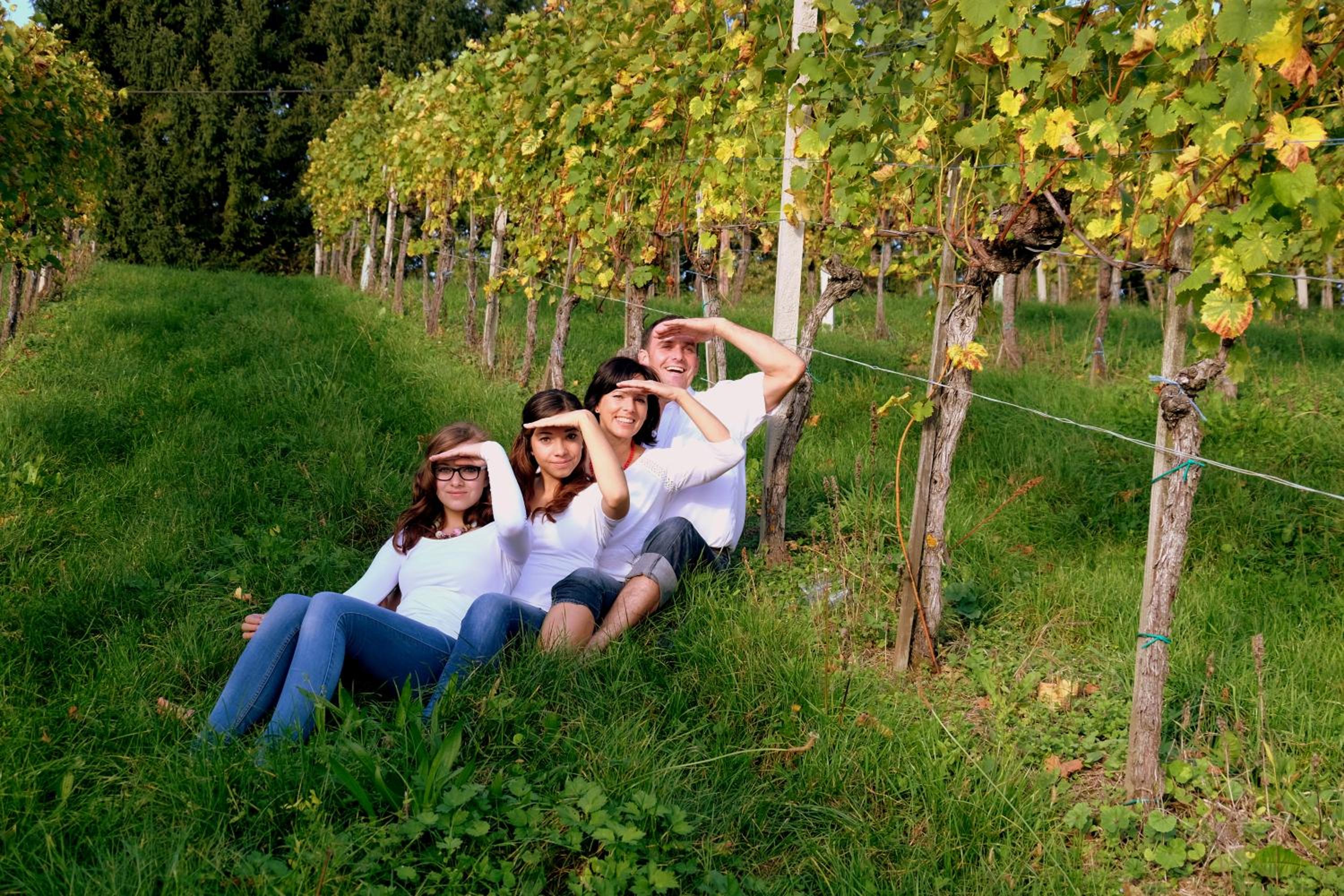Weingut und Gästezimmer Perner