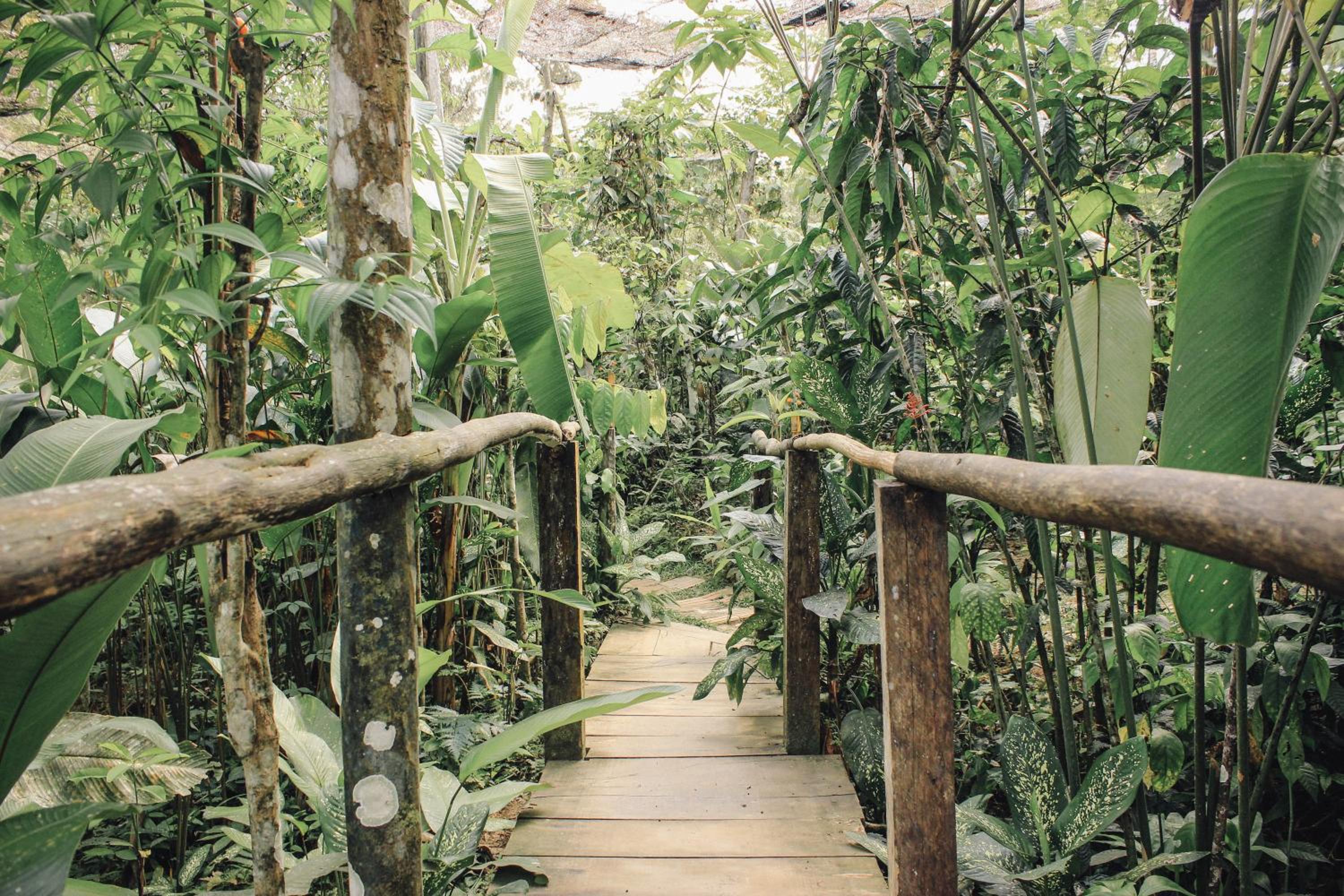 Libertad Jungle Lodge