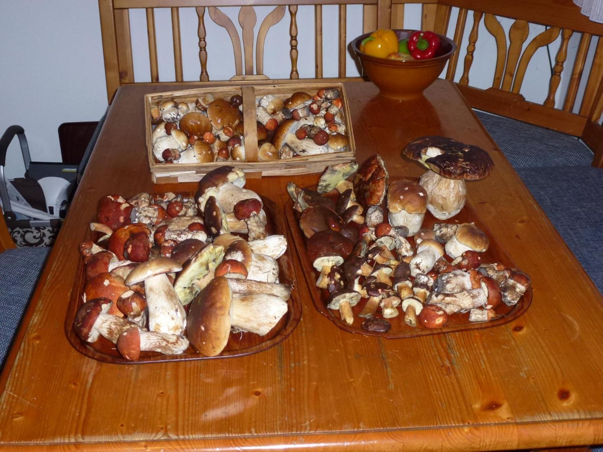 Photo 28