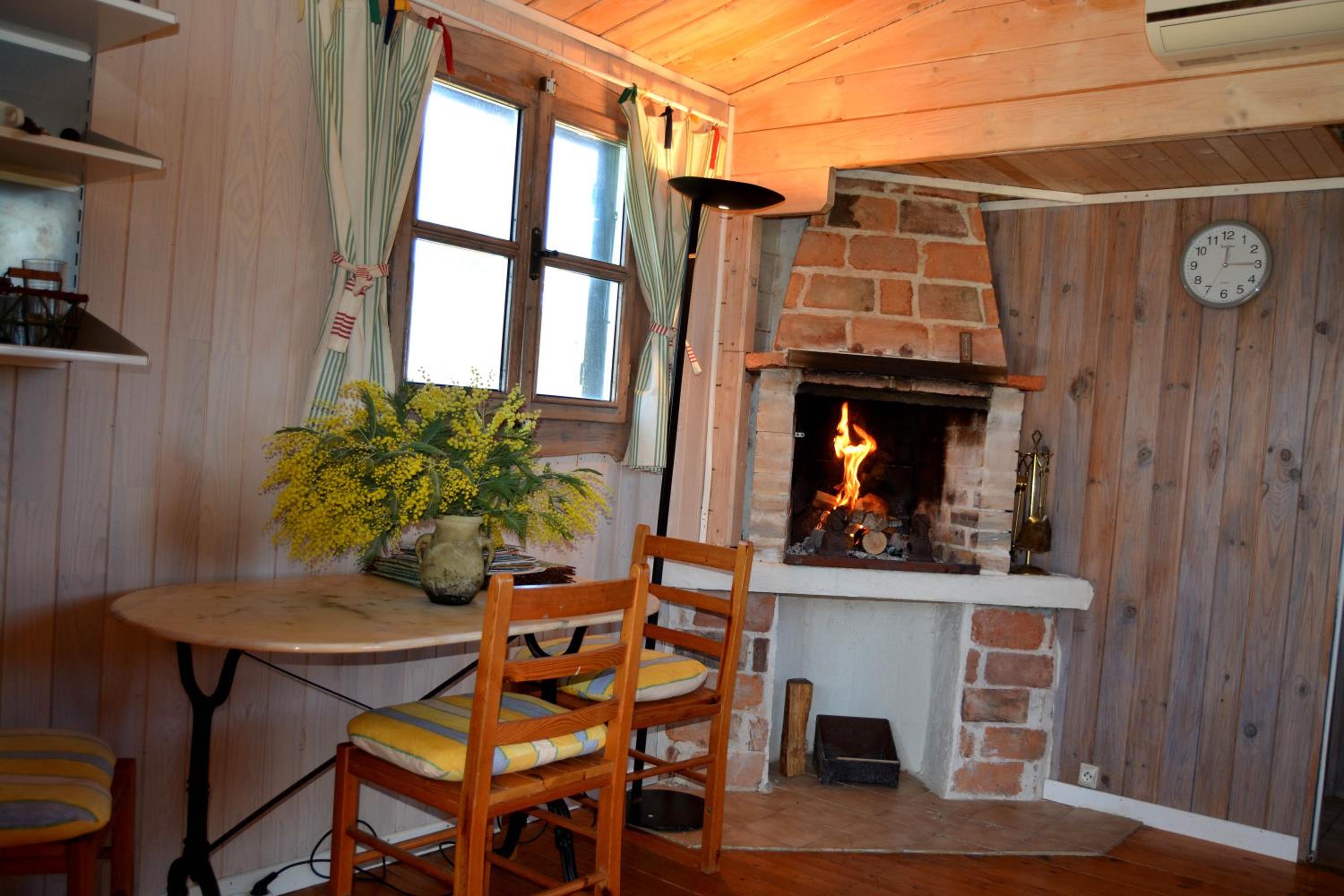 Gite foret landaise view 5