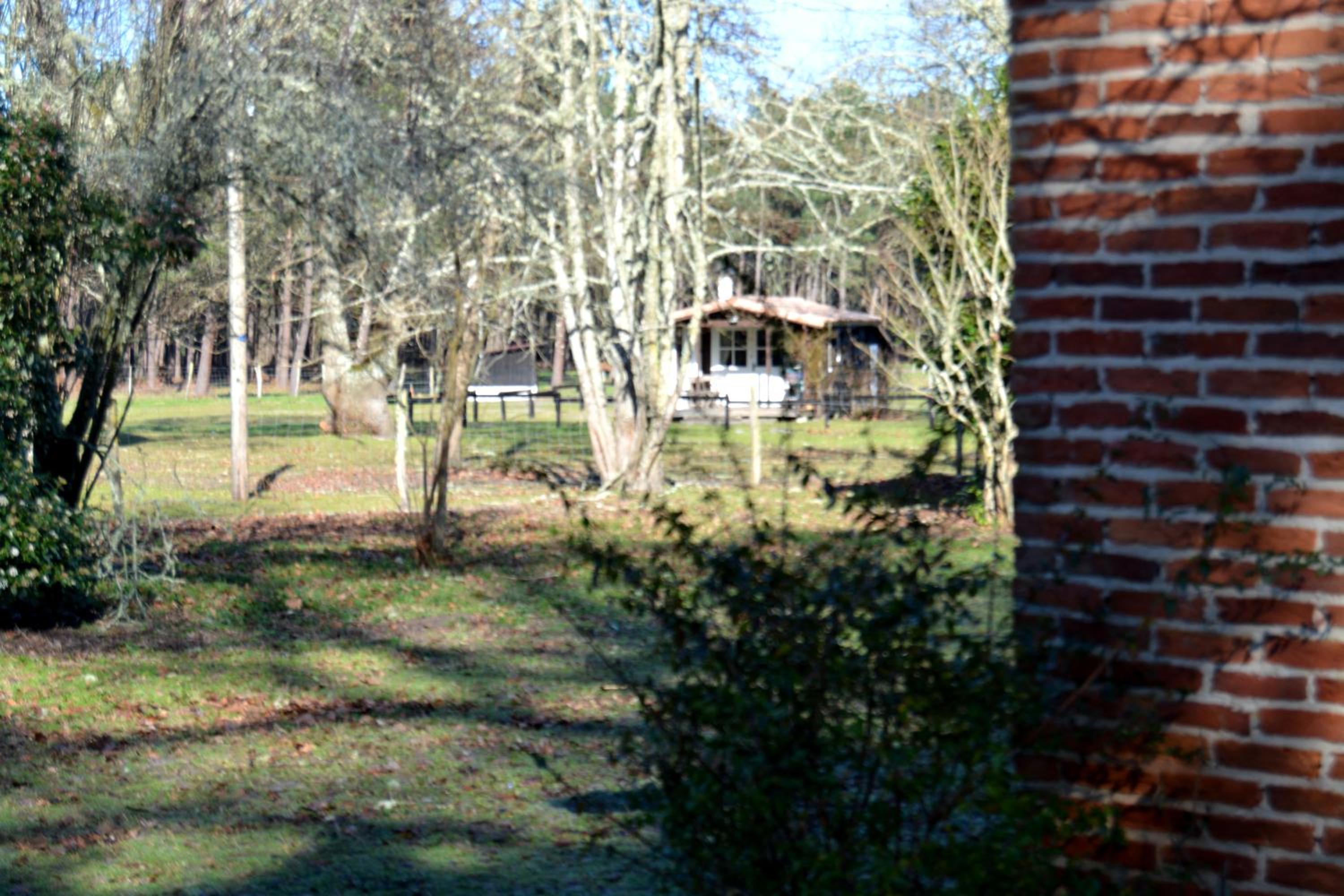 Gite foret landaise view 2