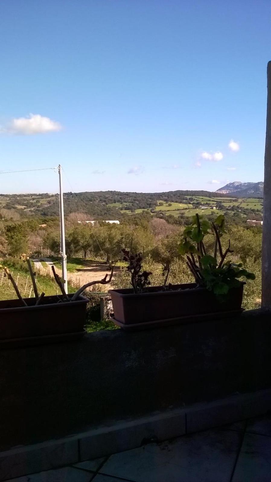 Agriturismo La Vigna view 2
