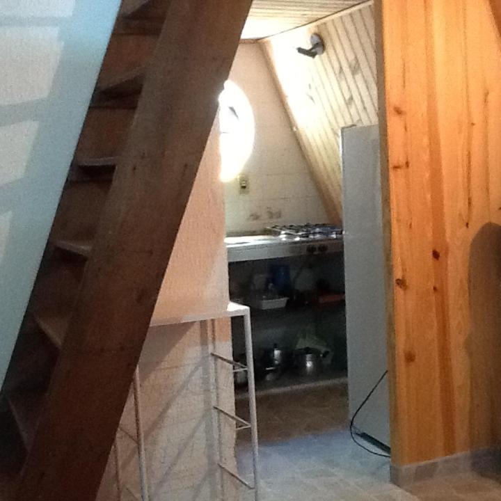 Photo 51
