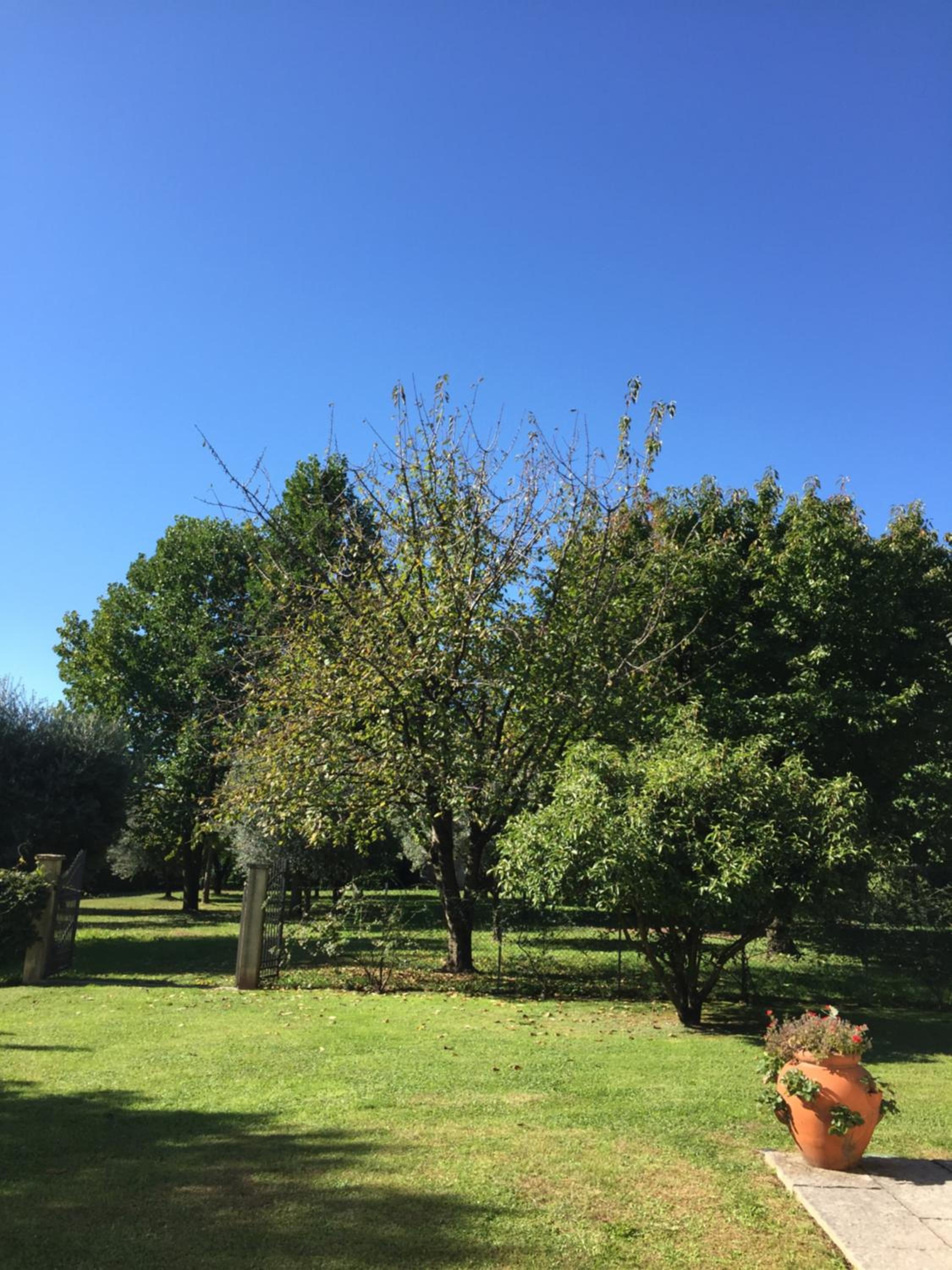 Le Tre Querce B&B, photo 36