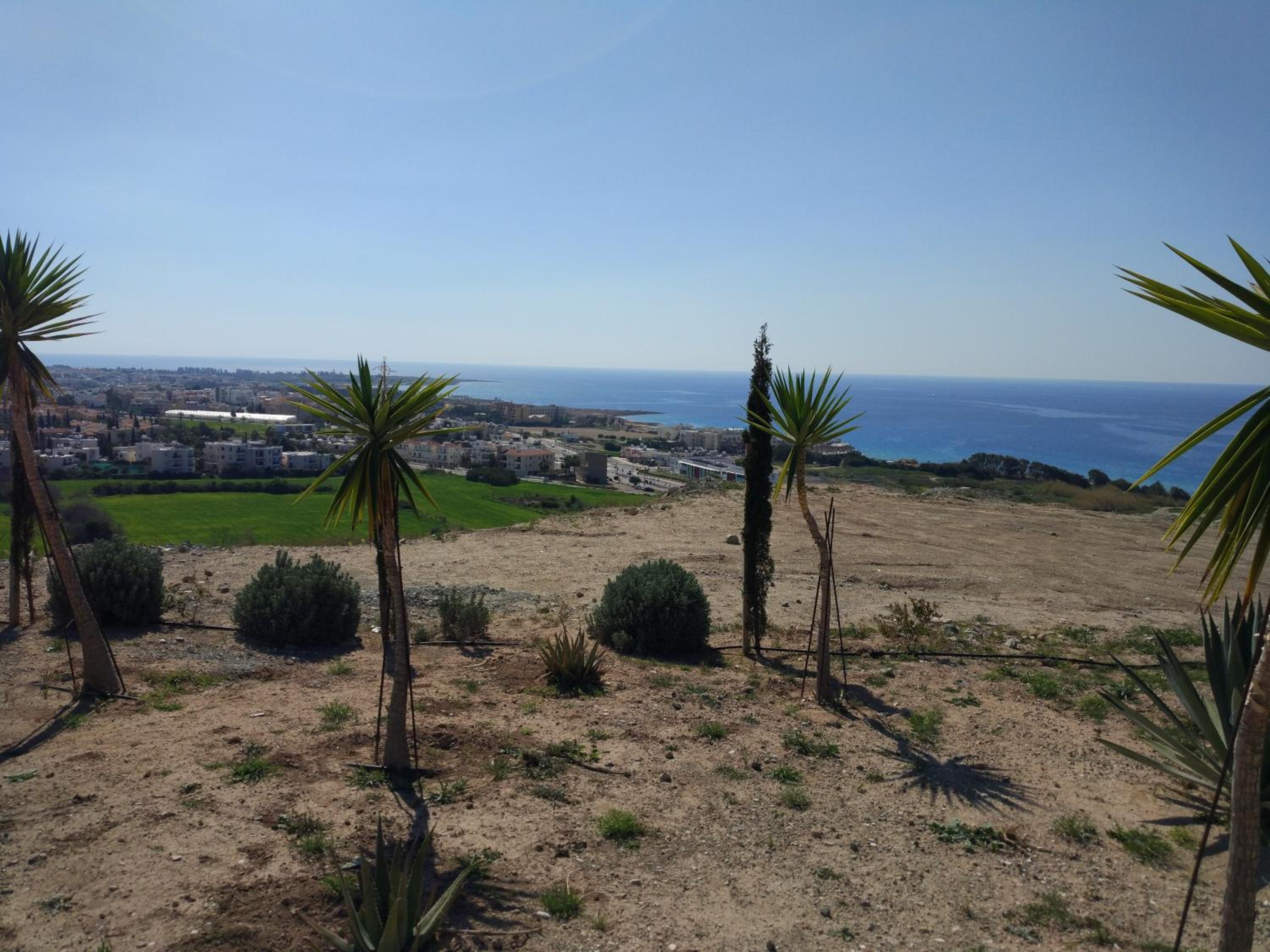 Panoramic Eden